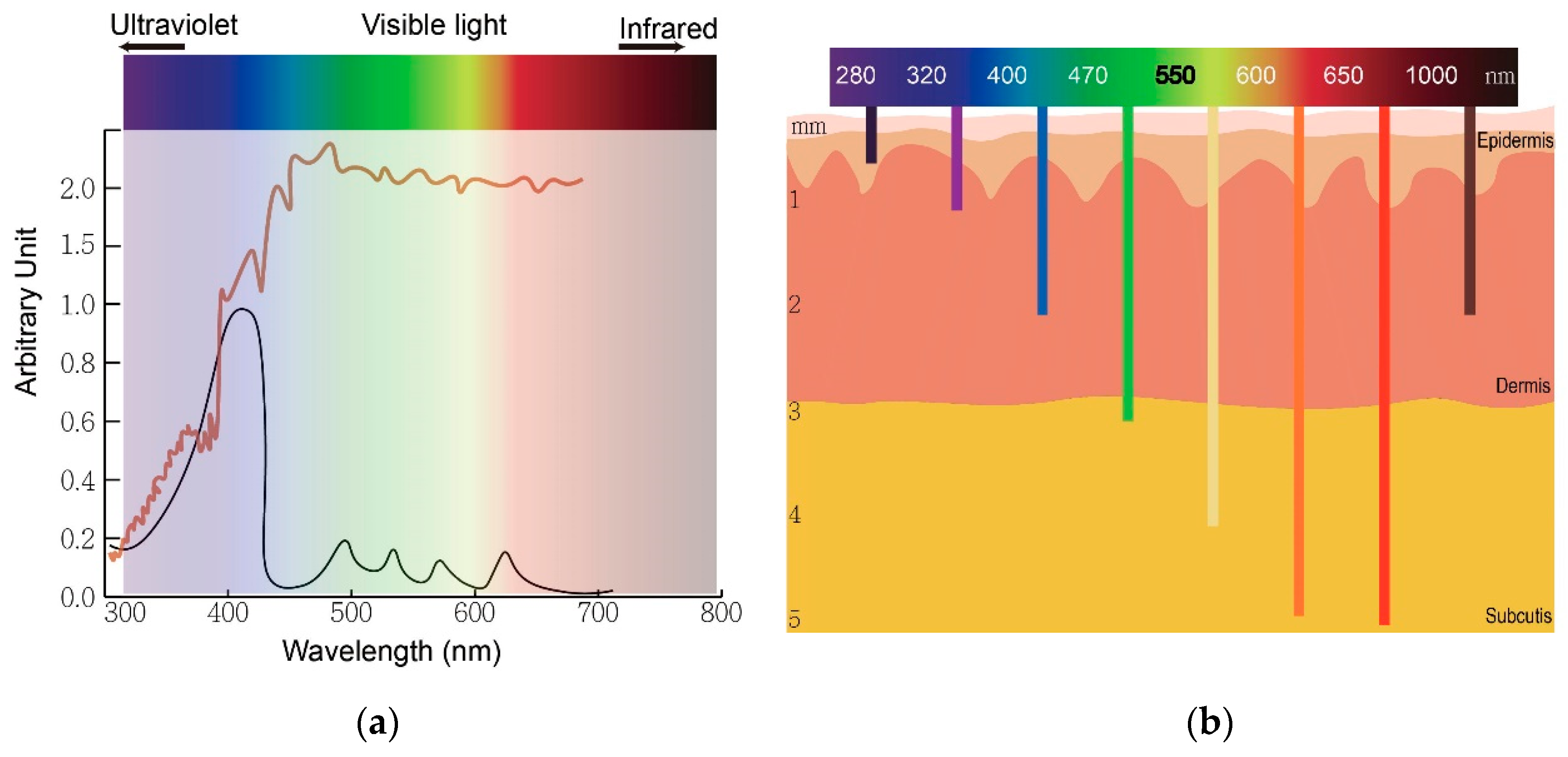 Molecules 25 05195 g002
