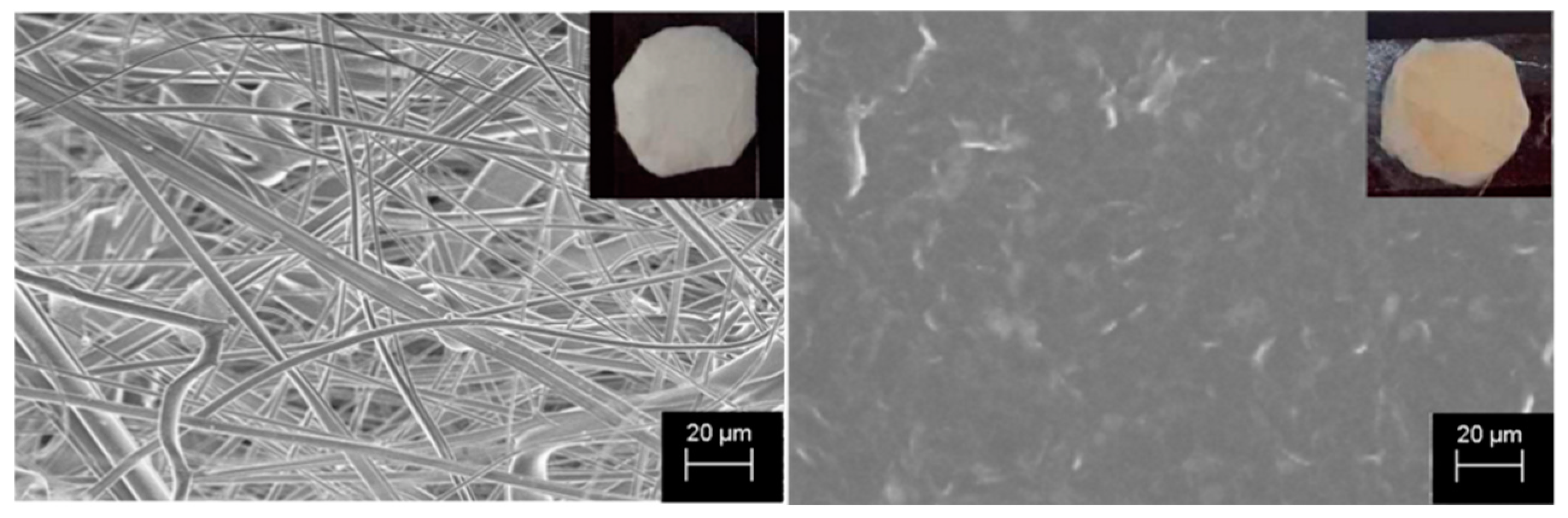 Molecules 25 05196 g001 Molecules 25 05196 g001