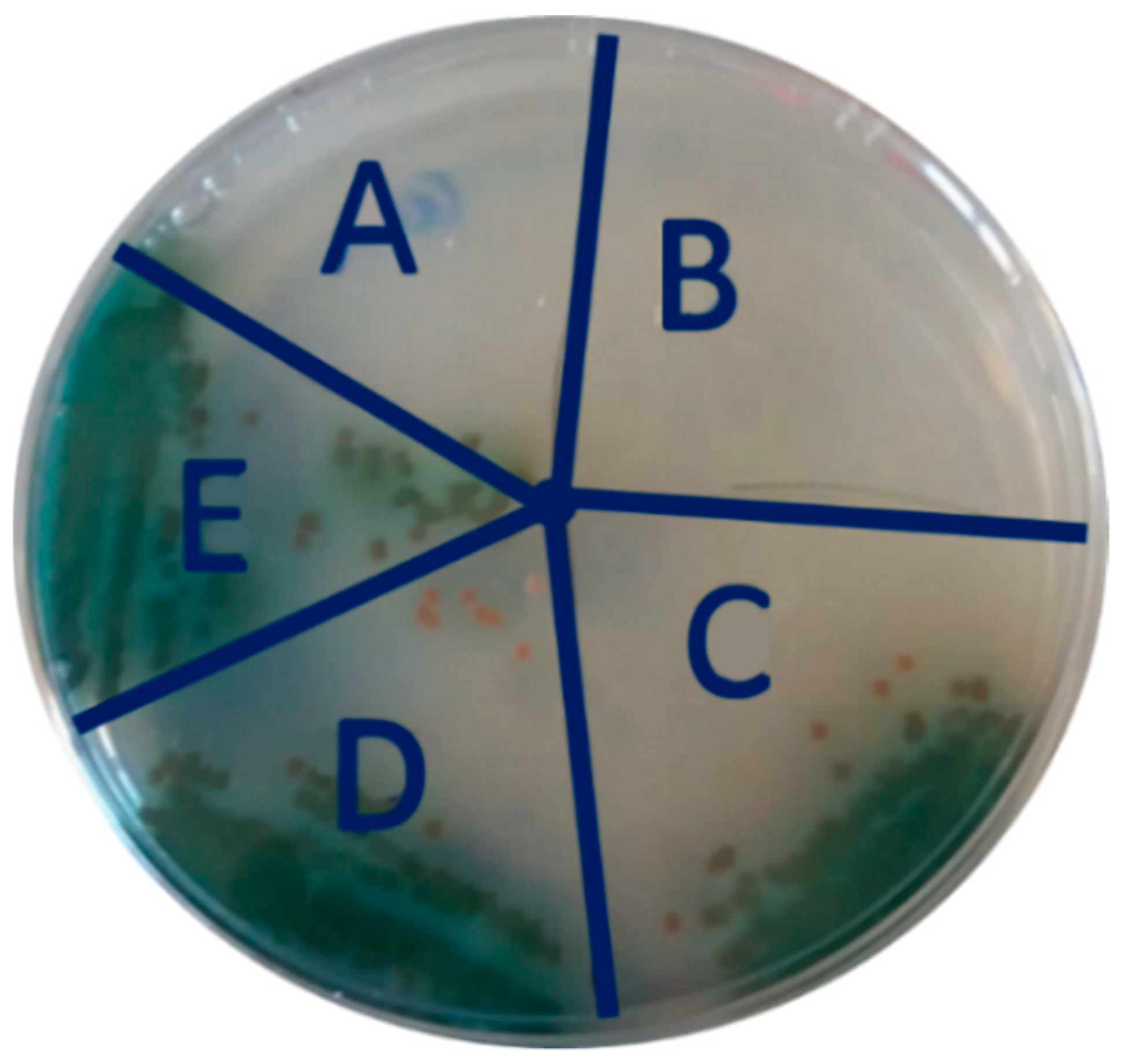 Molecules 25 05196 g004 Molecules 25 05196 g004