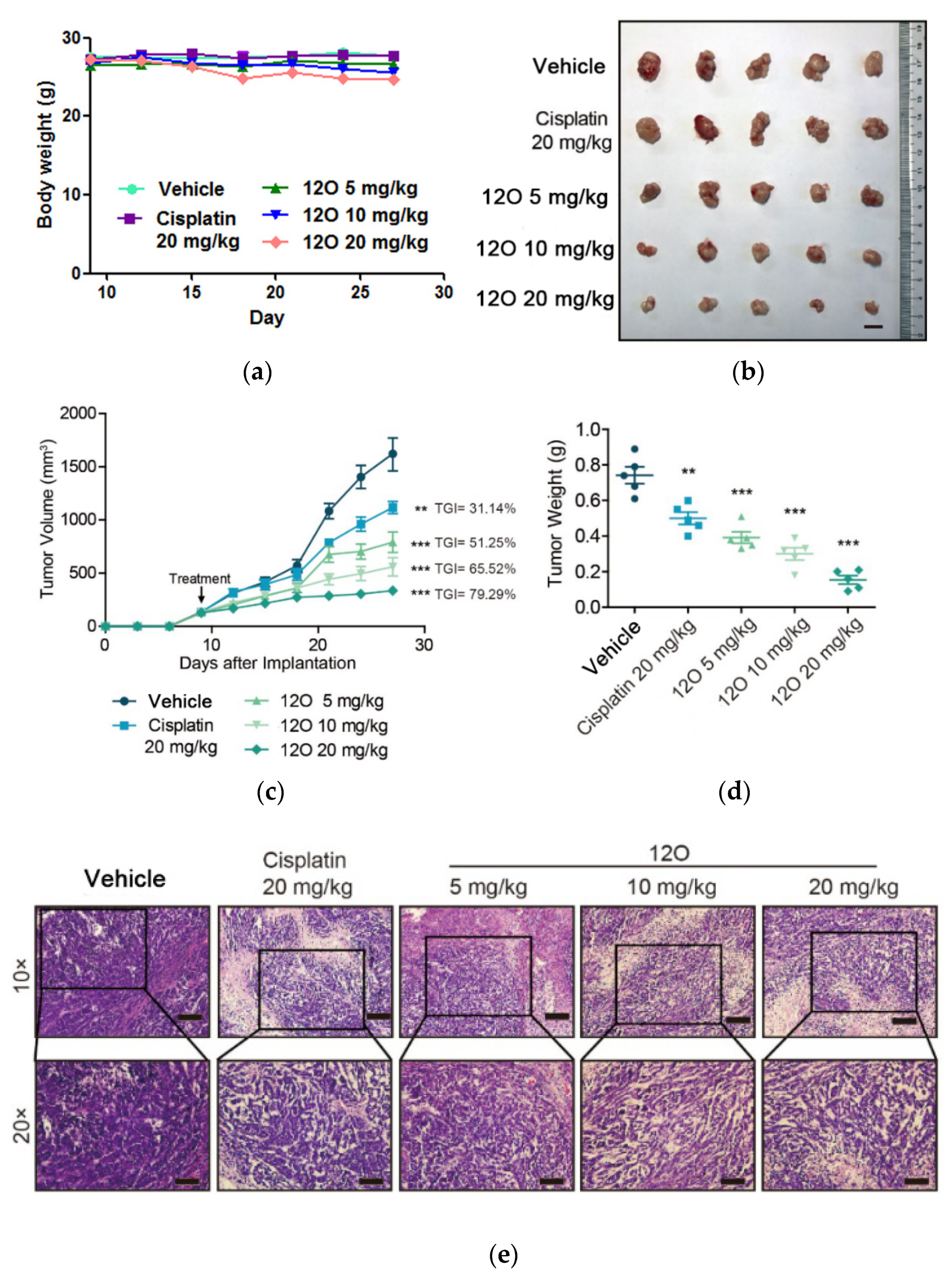 Molecules 25 05199 g005