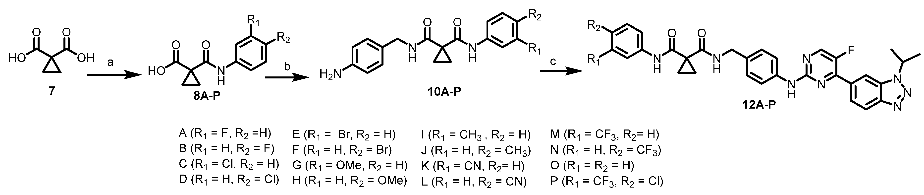 Molecules 25 05199 sch002