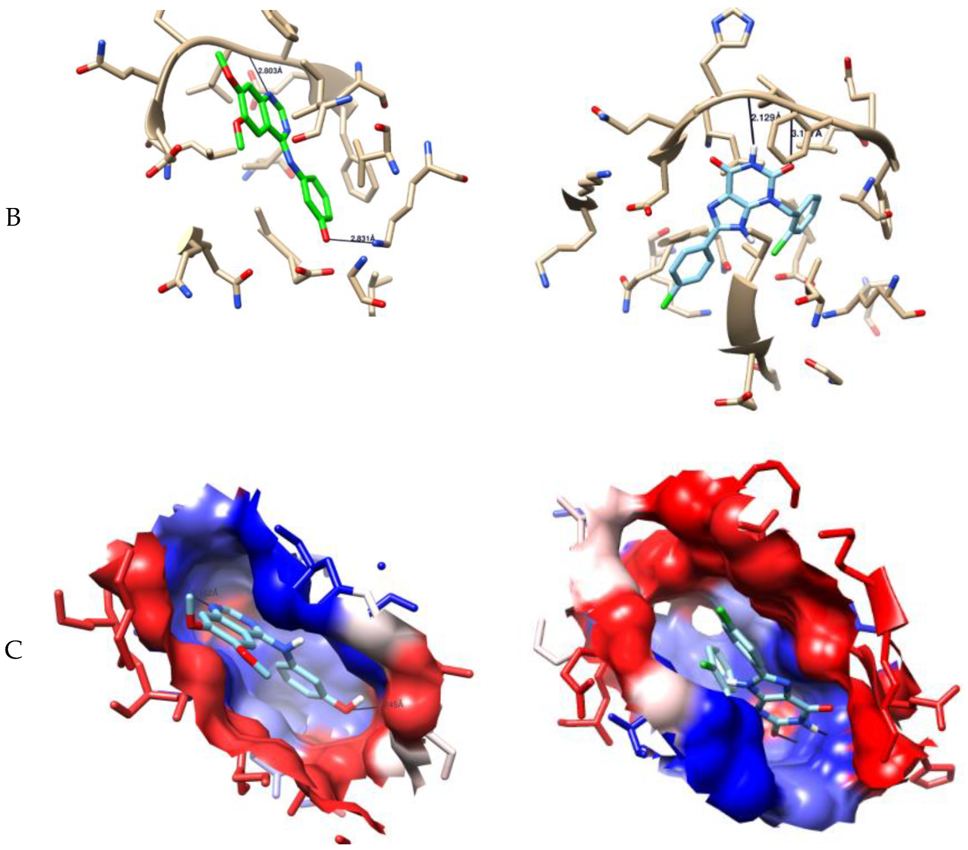 Molecules 25 05205 g003b