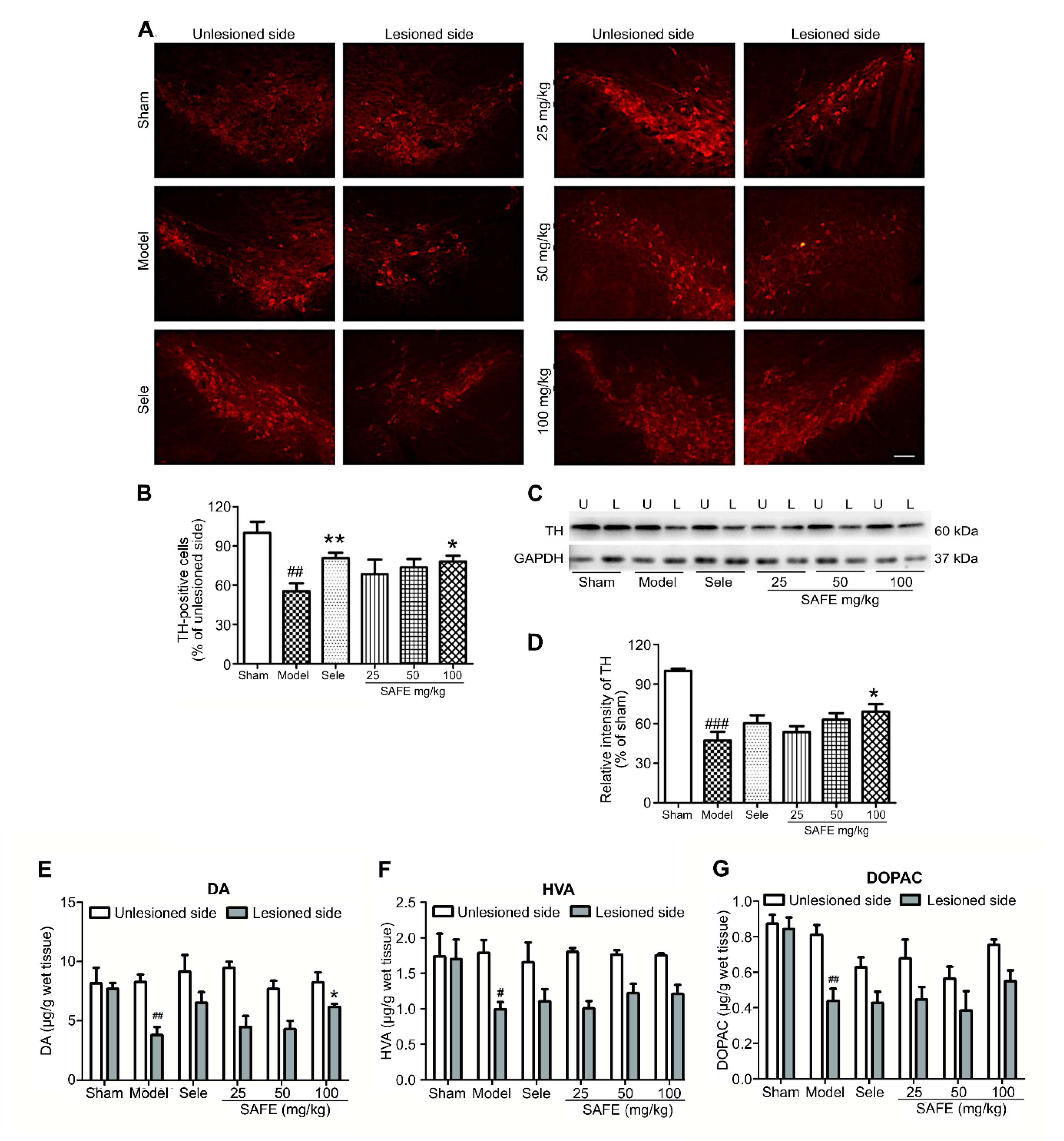 Molecules 25 05206 g002