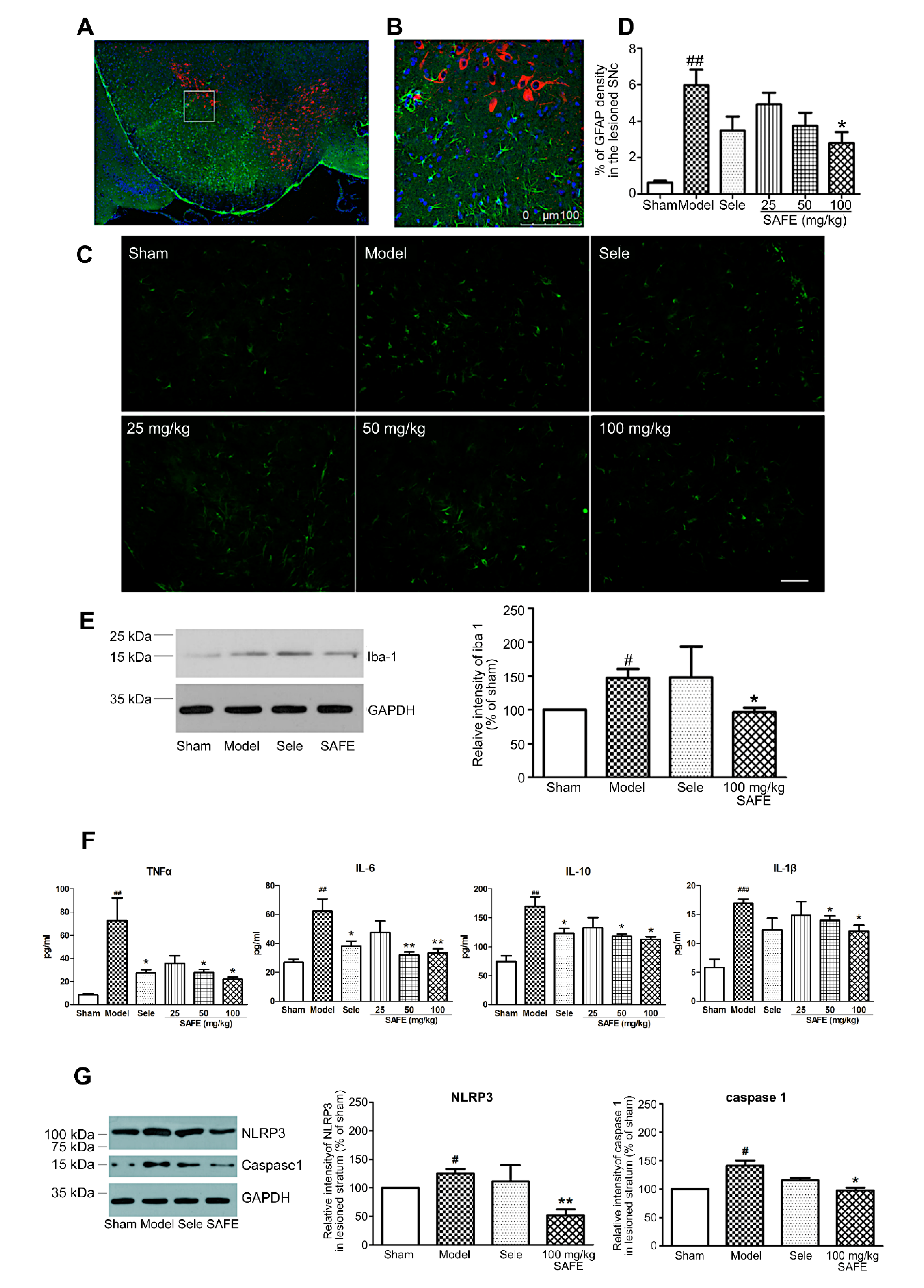 Molecules 25 05206 g003