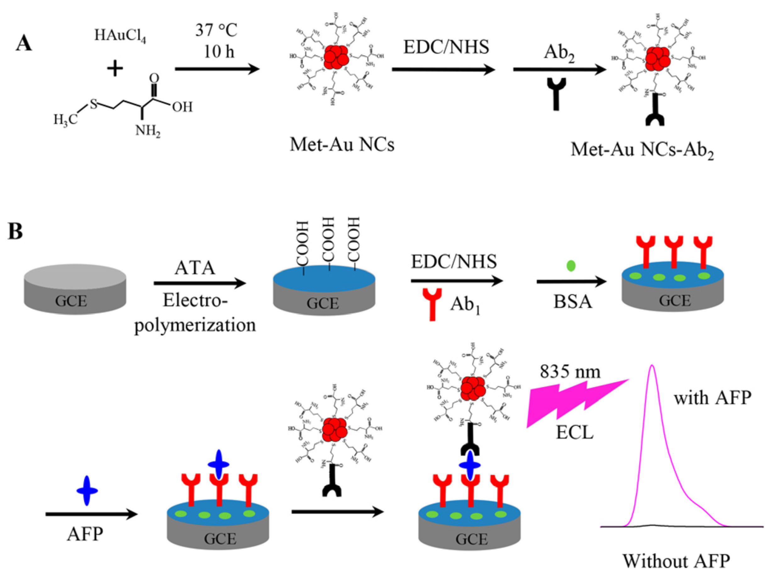 Molecules 25 05208 g002