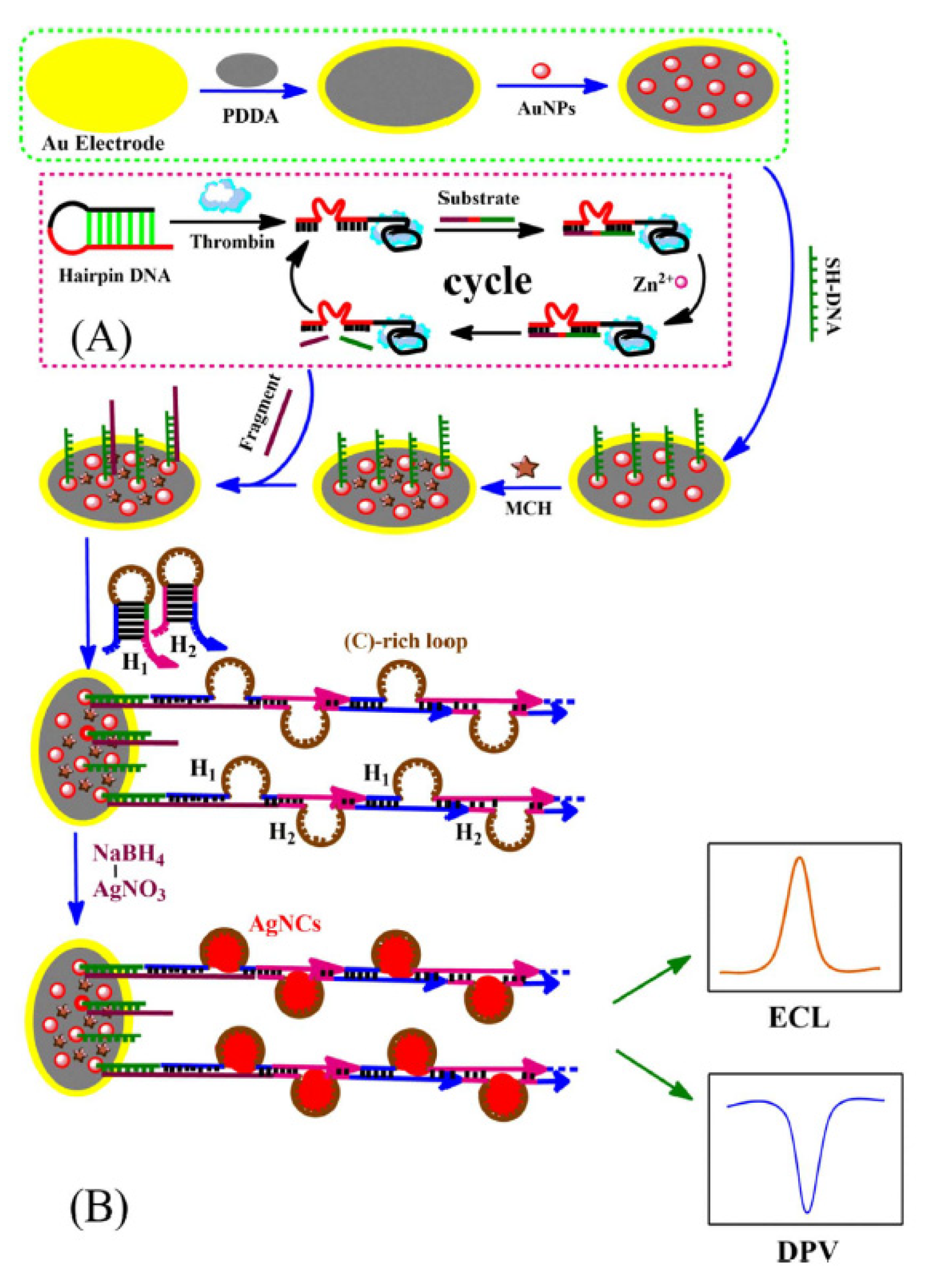 Molecules 25 05208 g004