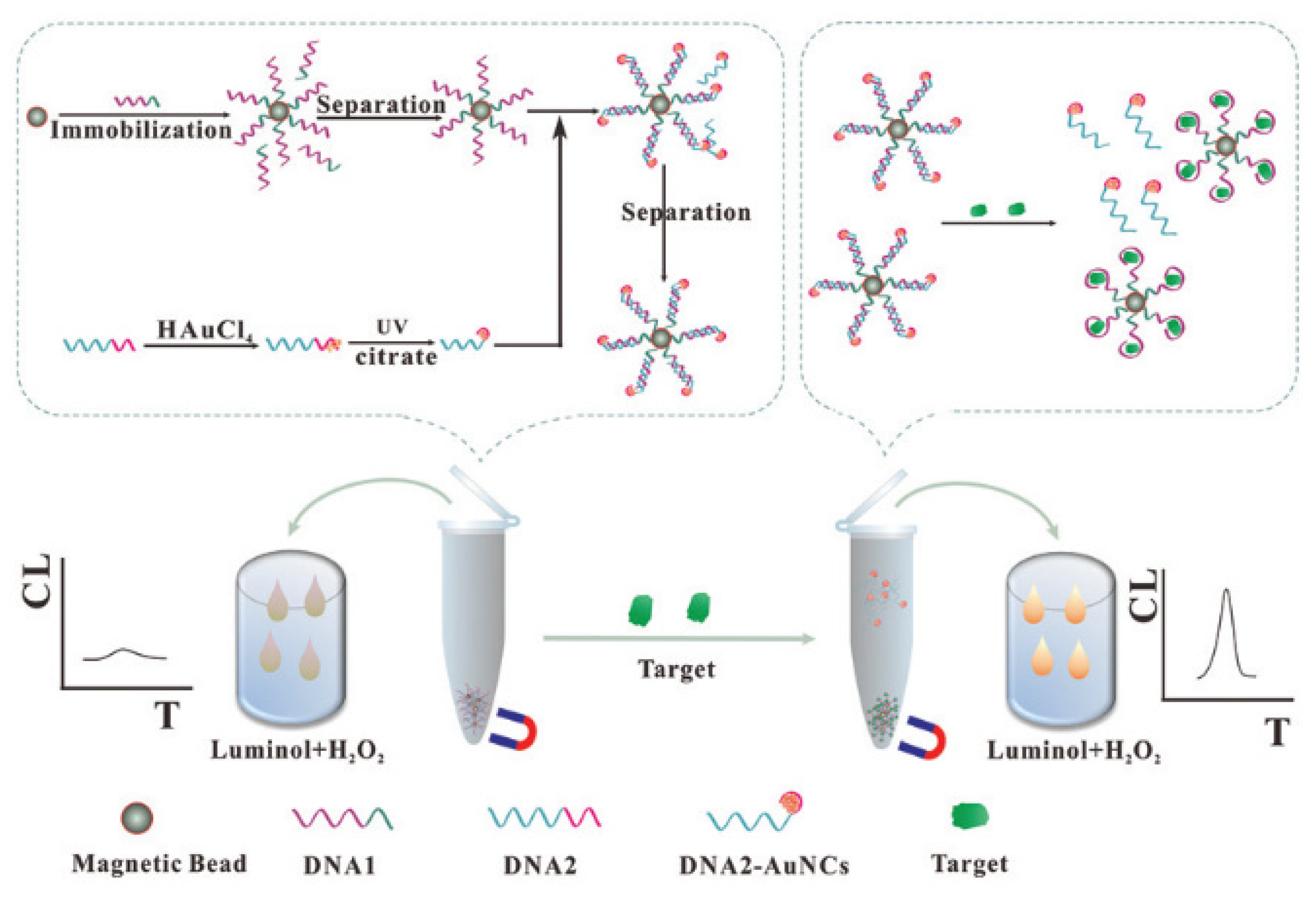 Molecules 25 05208 g007