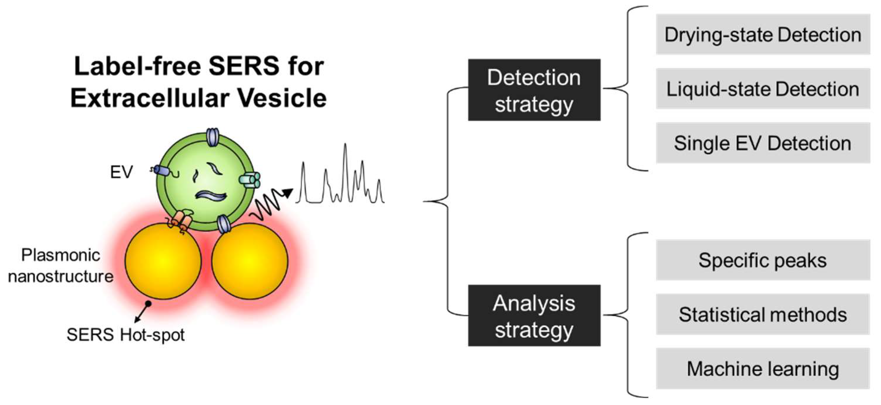Molecules 25 05209 g001 Molecules 25 05209 g001