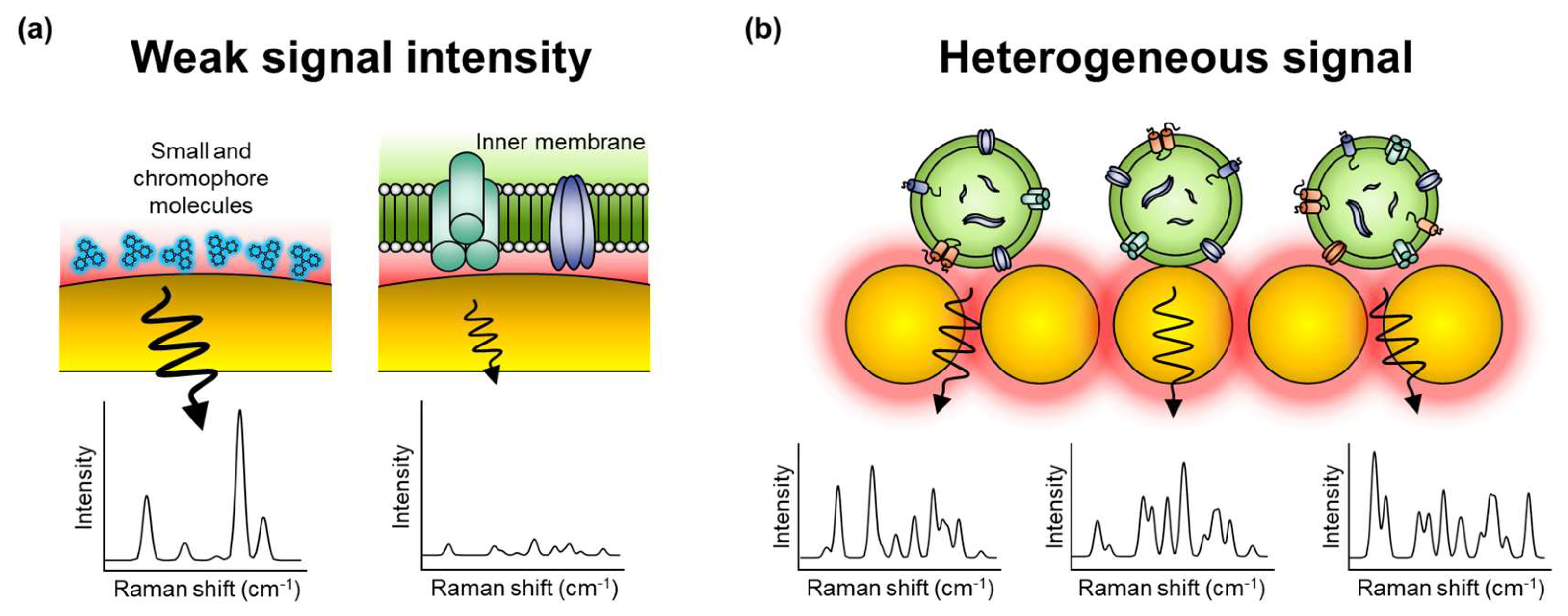 Molecules 25 05209 g002 Molecules 25 05209 g002