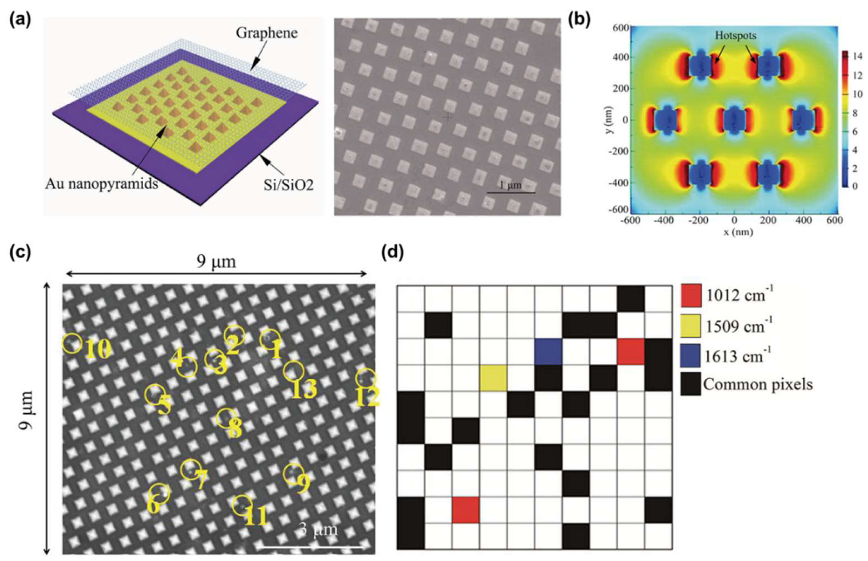 Molecules 25 05209 g004 Molecules 25 05209 g004