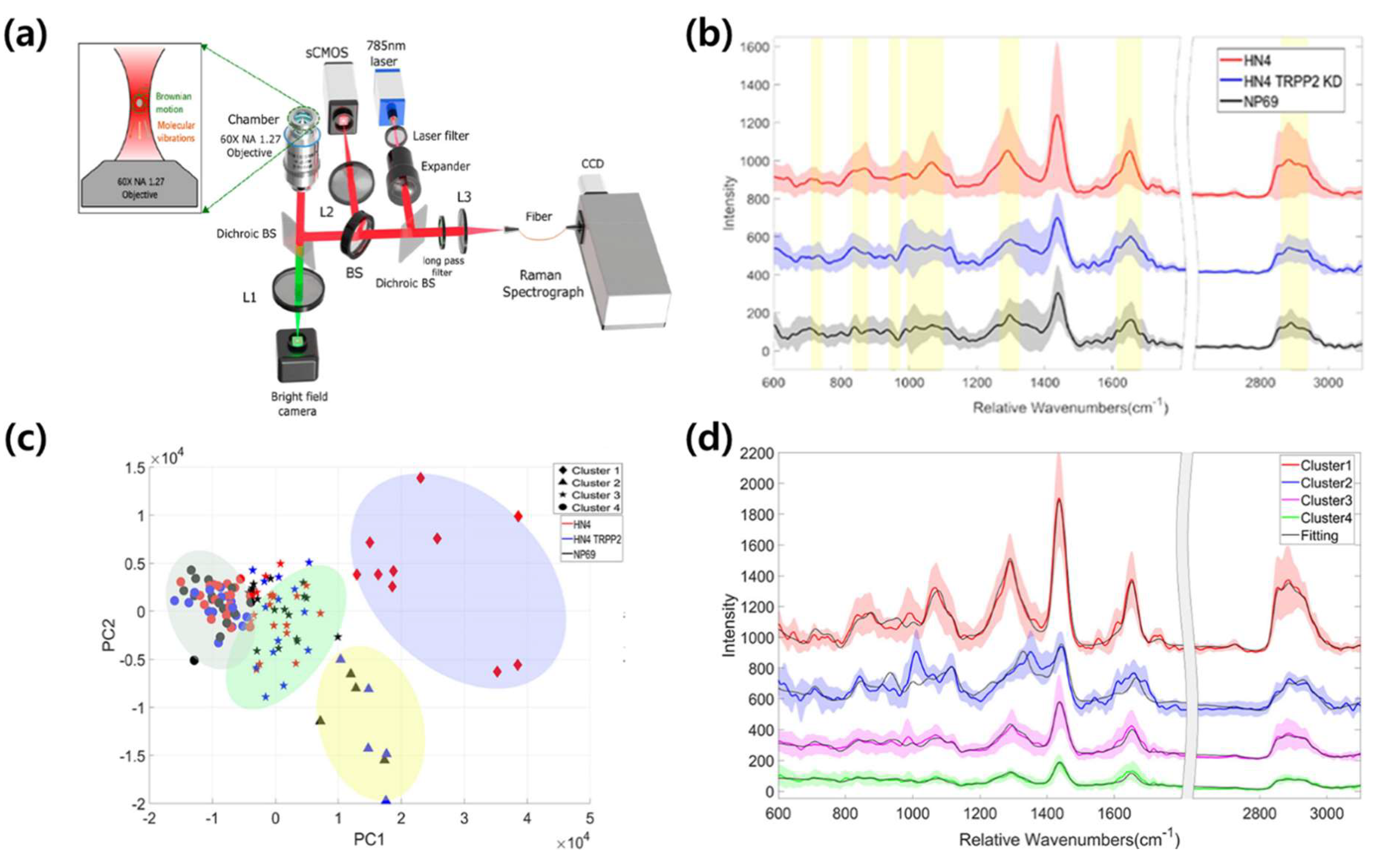 Molecules 25 05209 g007 Molecules 25 05209 g007