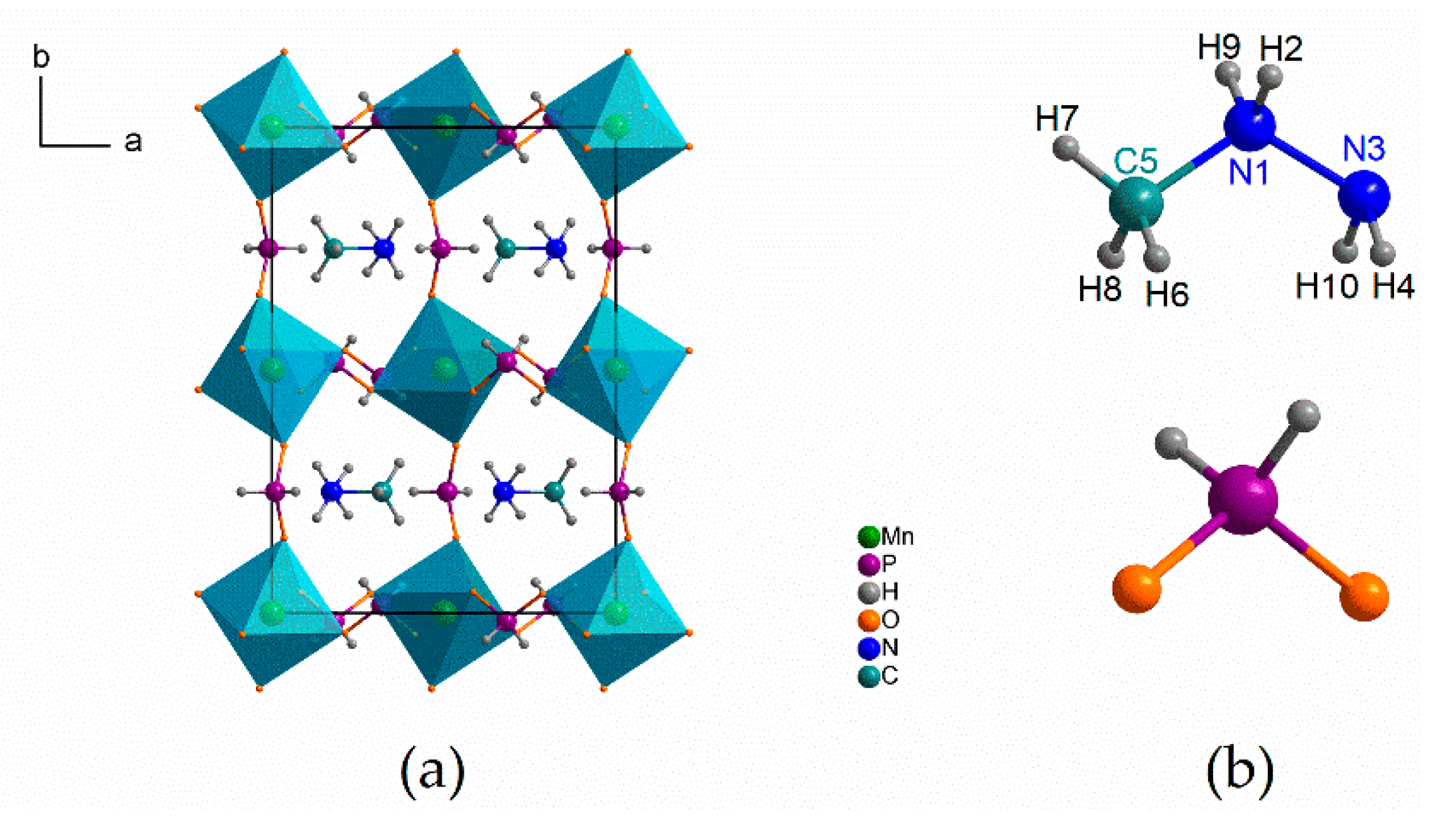 Molecules 25 05215 g001