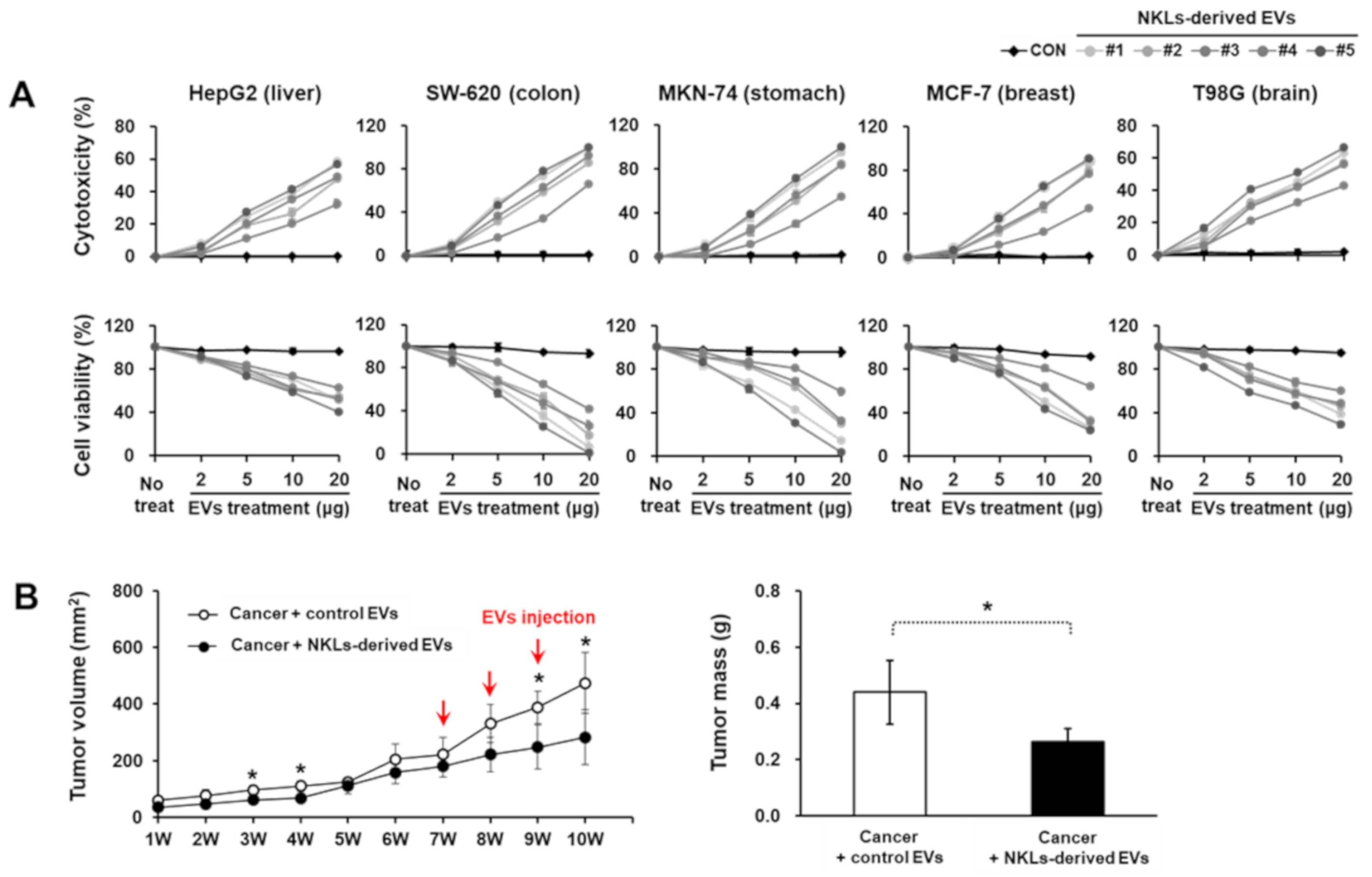 Molecules 25 05216 g003