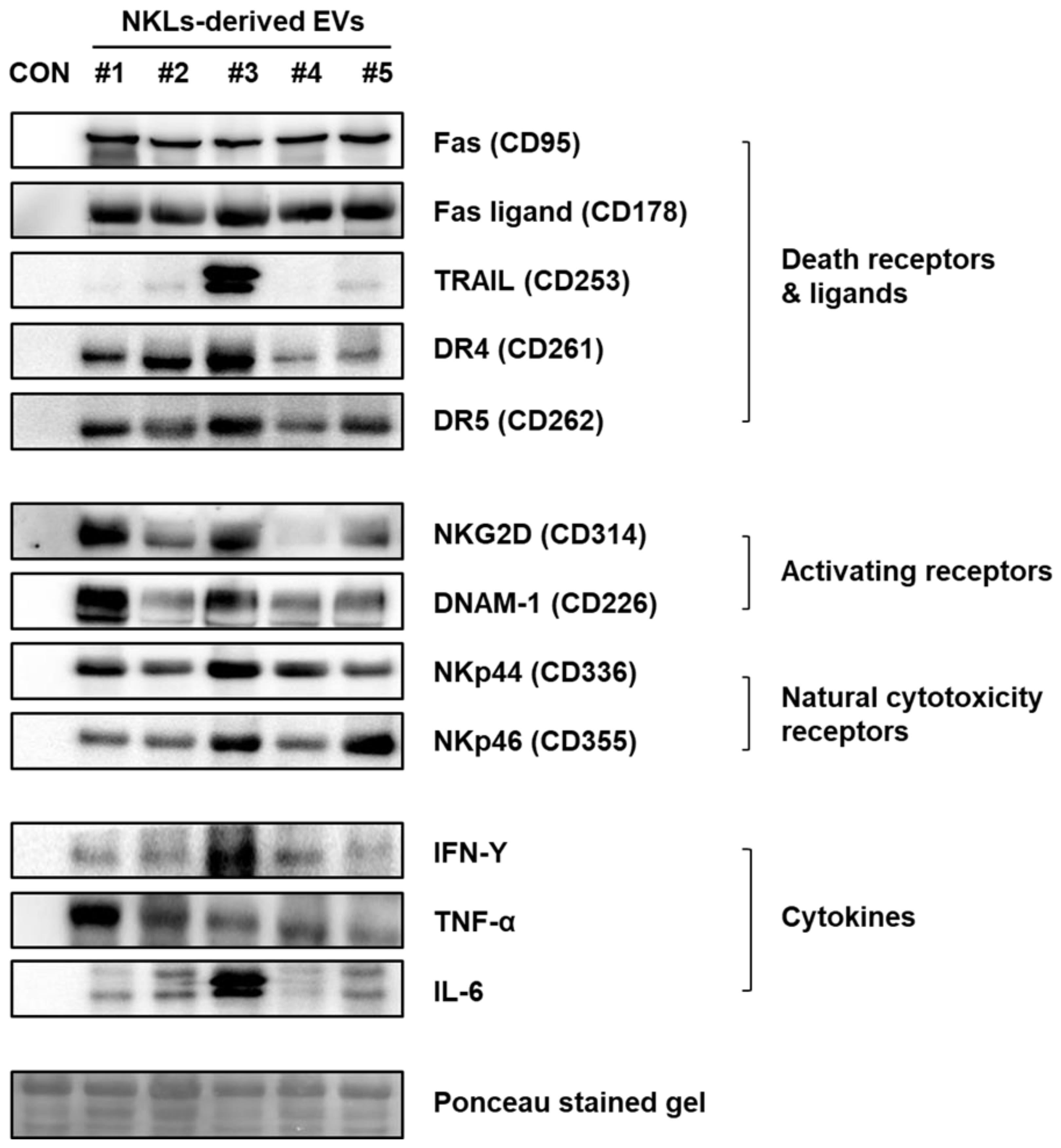 Molecules 25 05216 g004