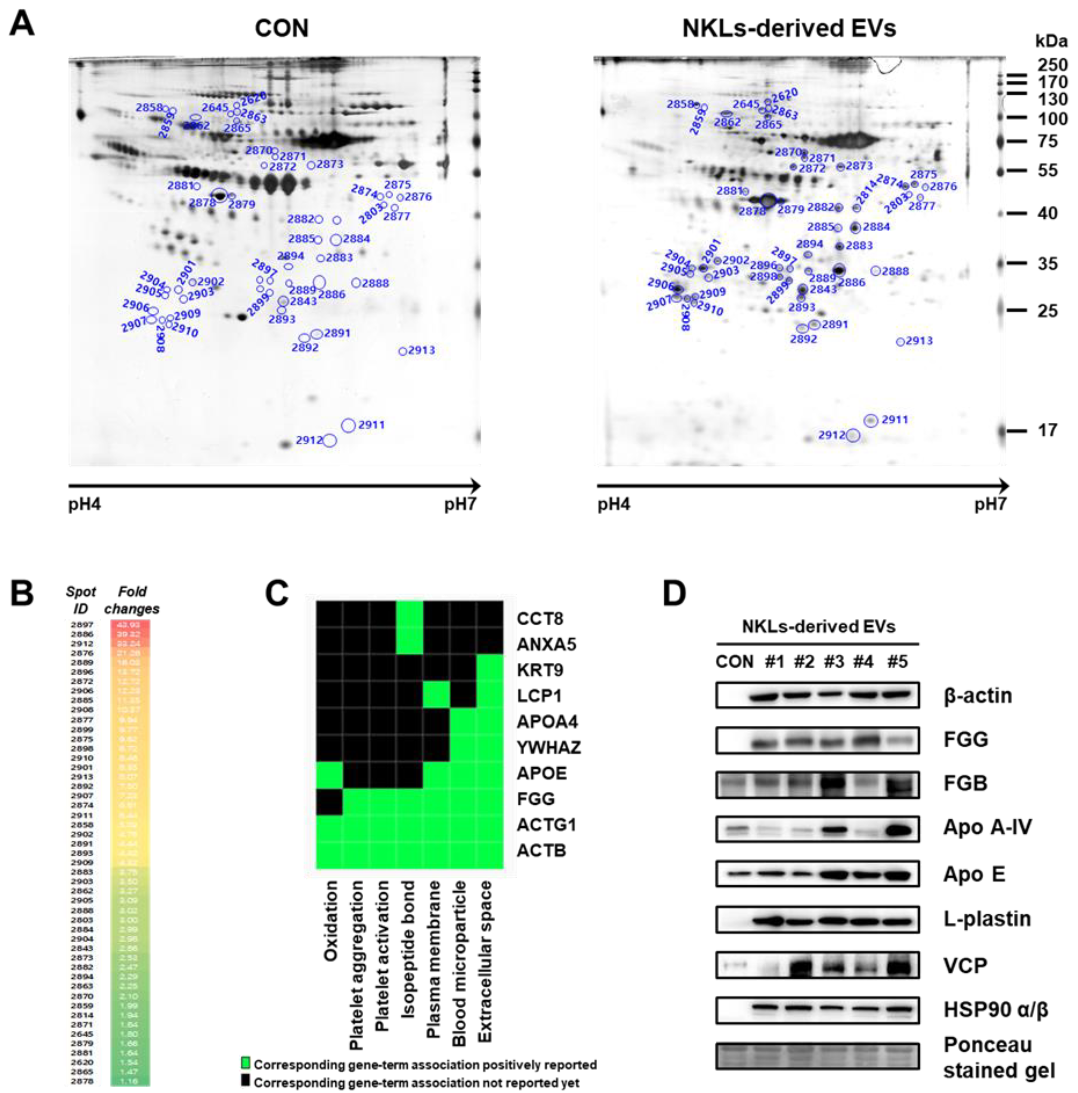 Molecules 25 05216 g005