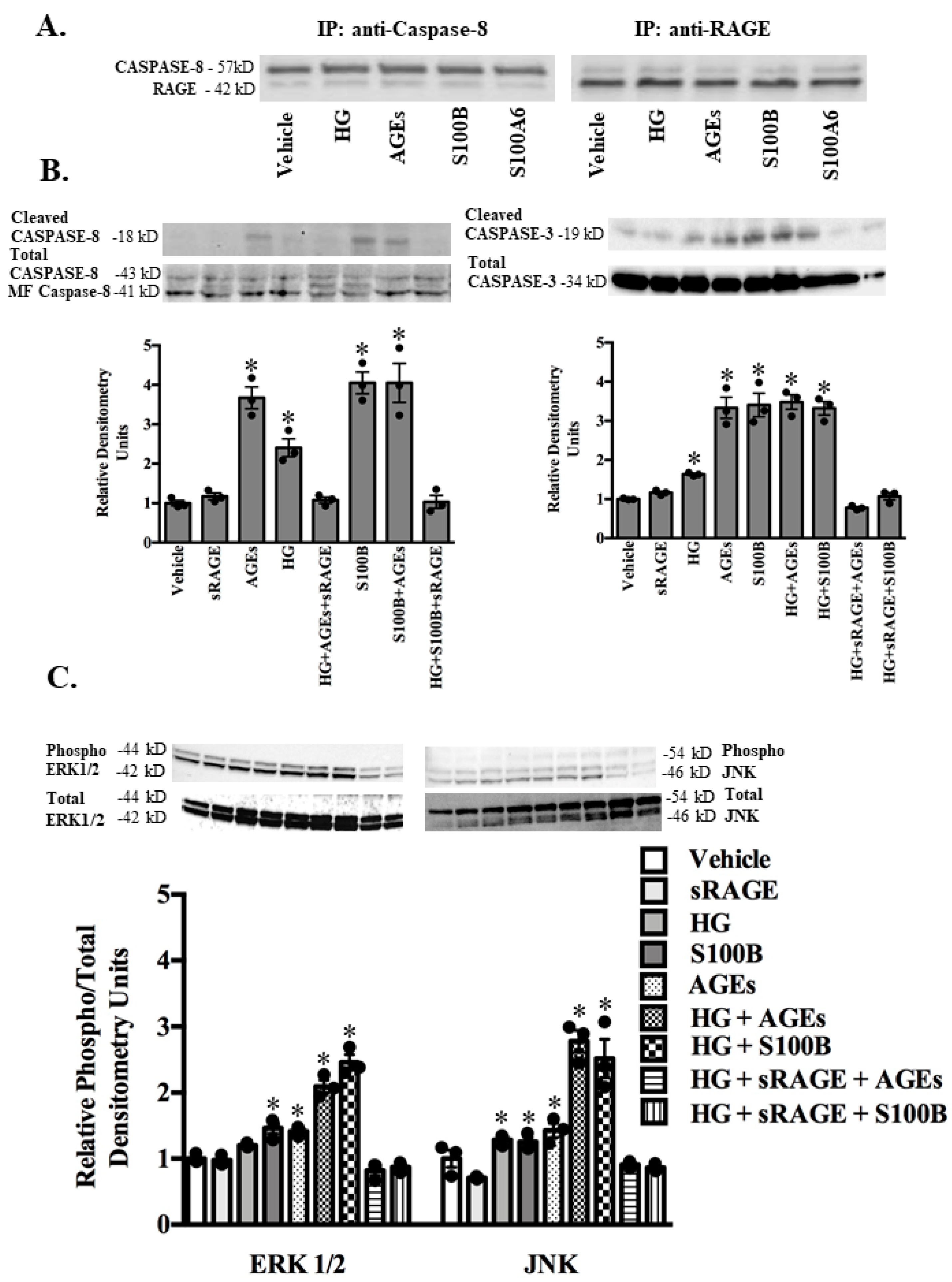Molecules 25 05235 g004