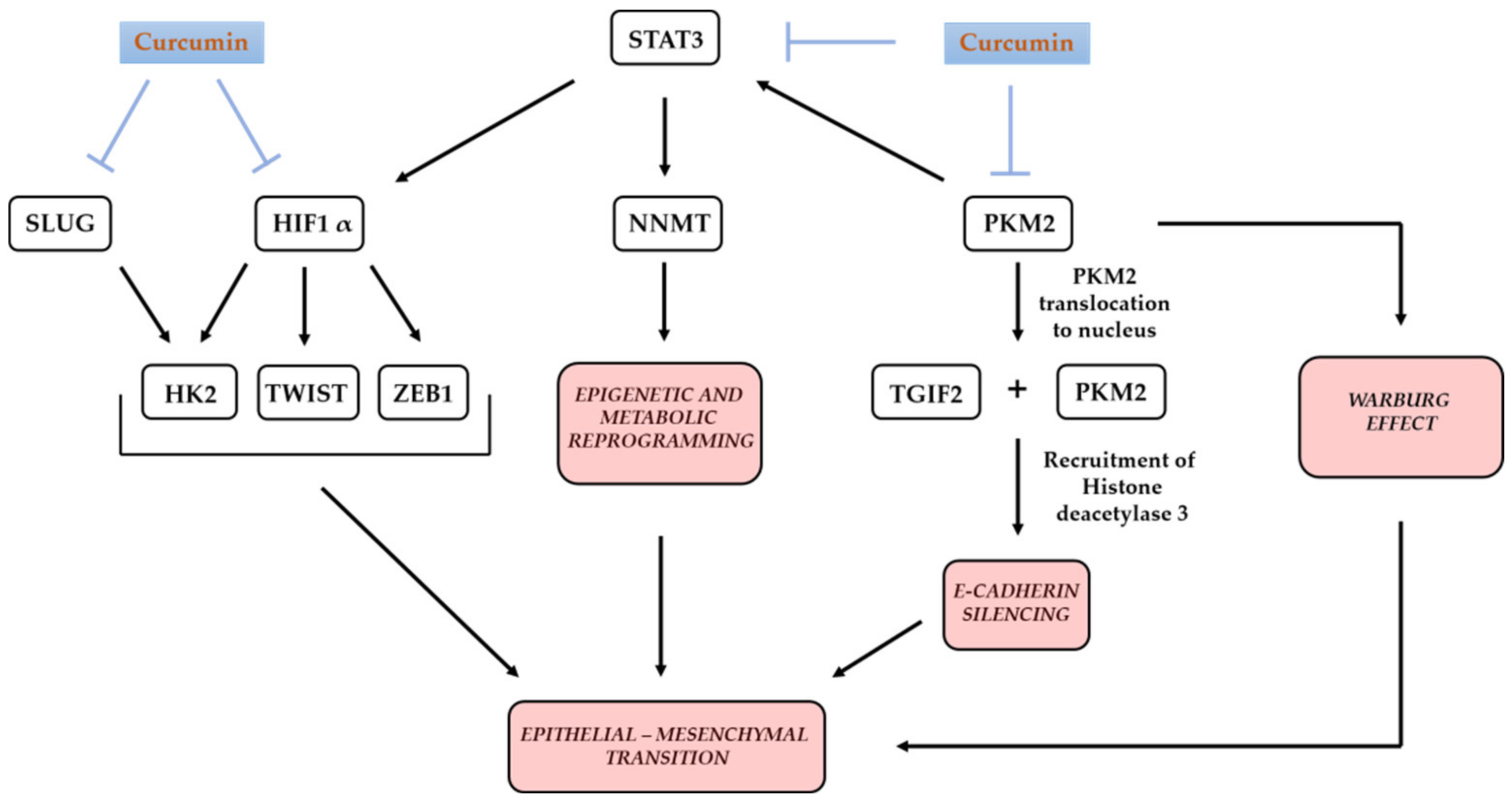 Molecules 25 05240 g005