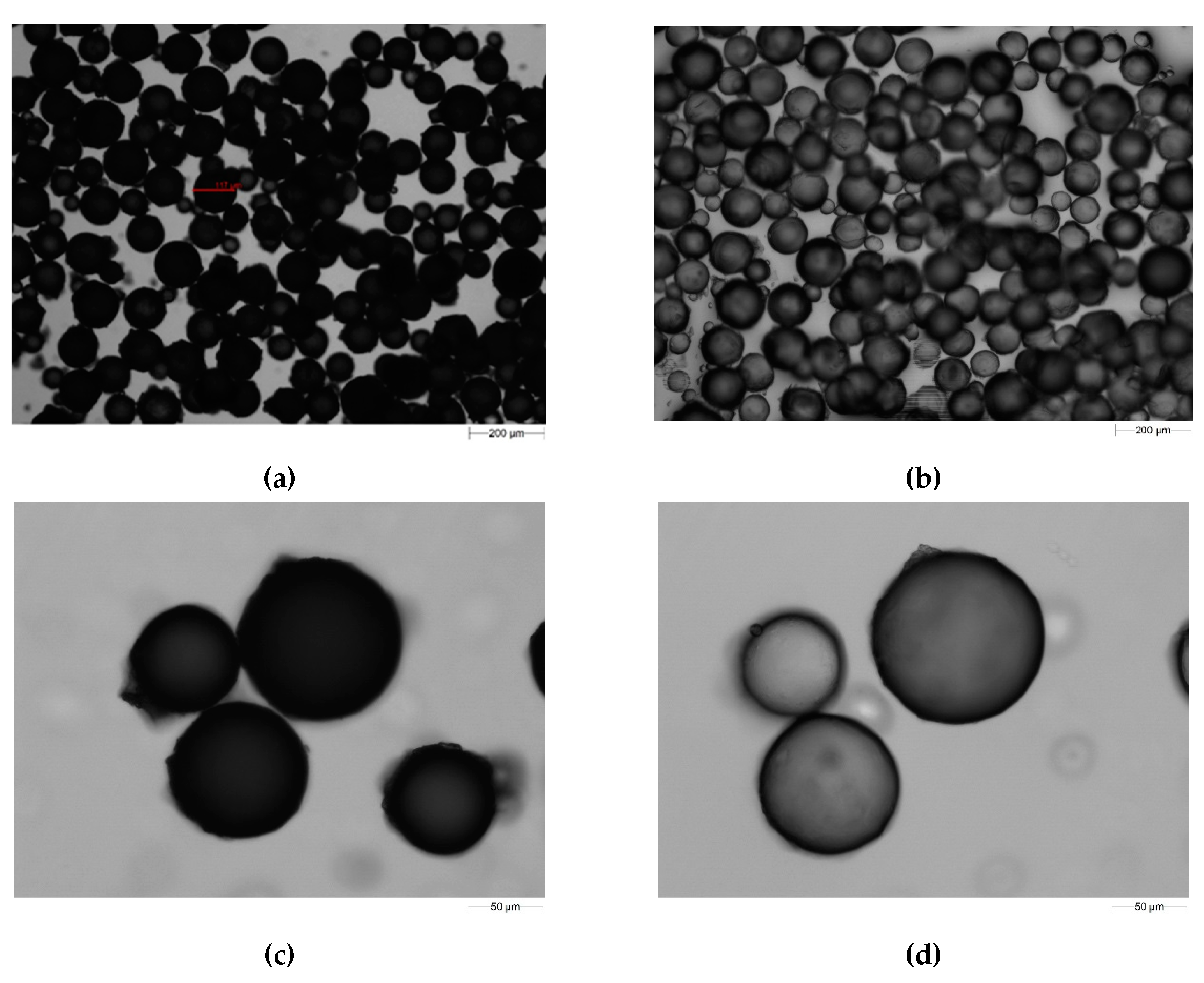 Molecules 25 05247 g002 Molecules 25 05247 g002