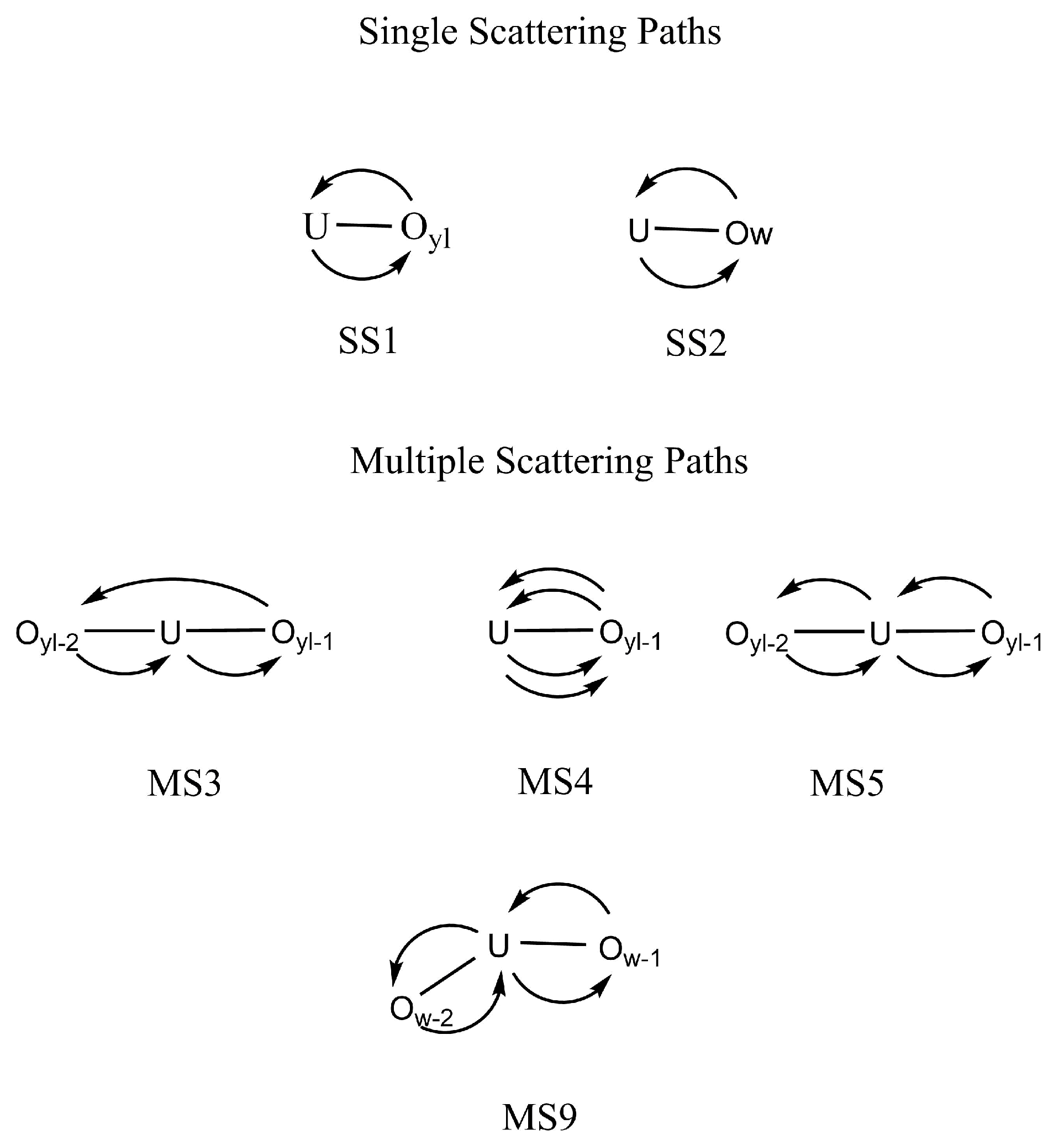 Molecules 25 05250 g004 Molecules 25 05250 g004