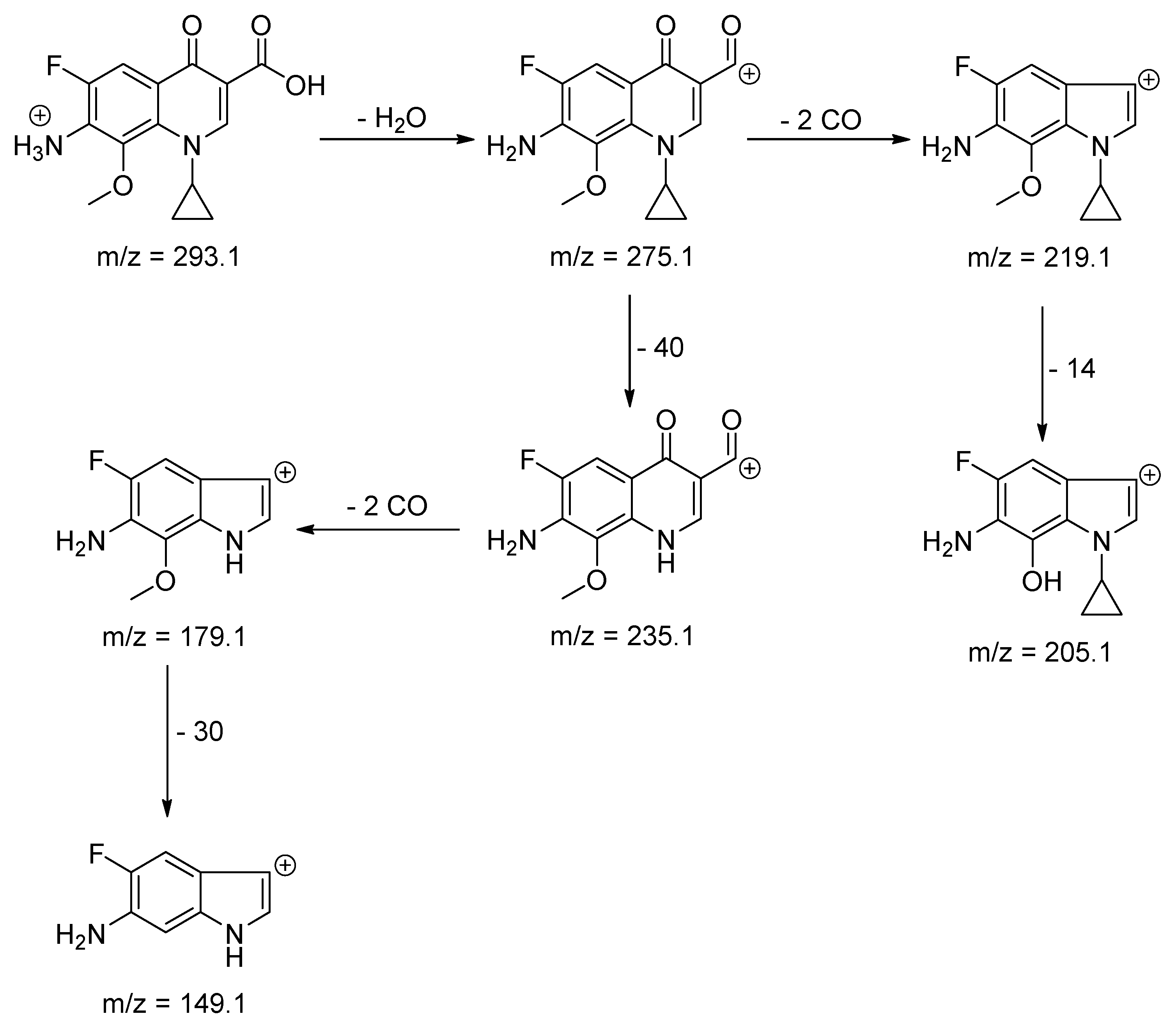Molecules 25 05251 sch006