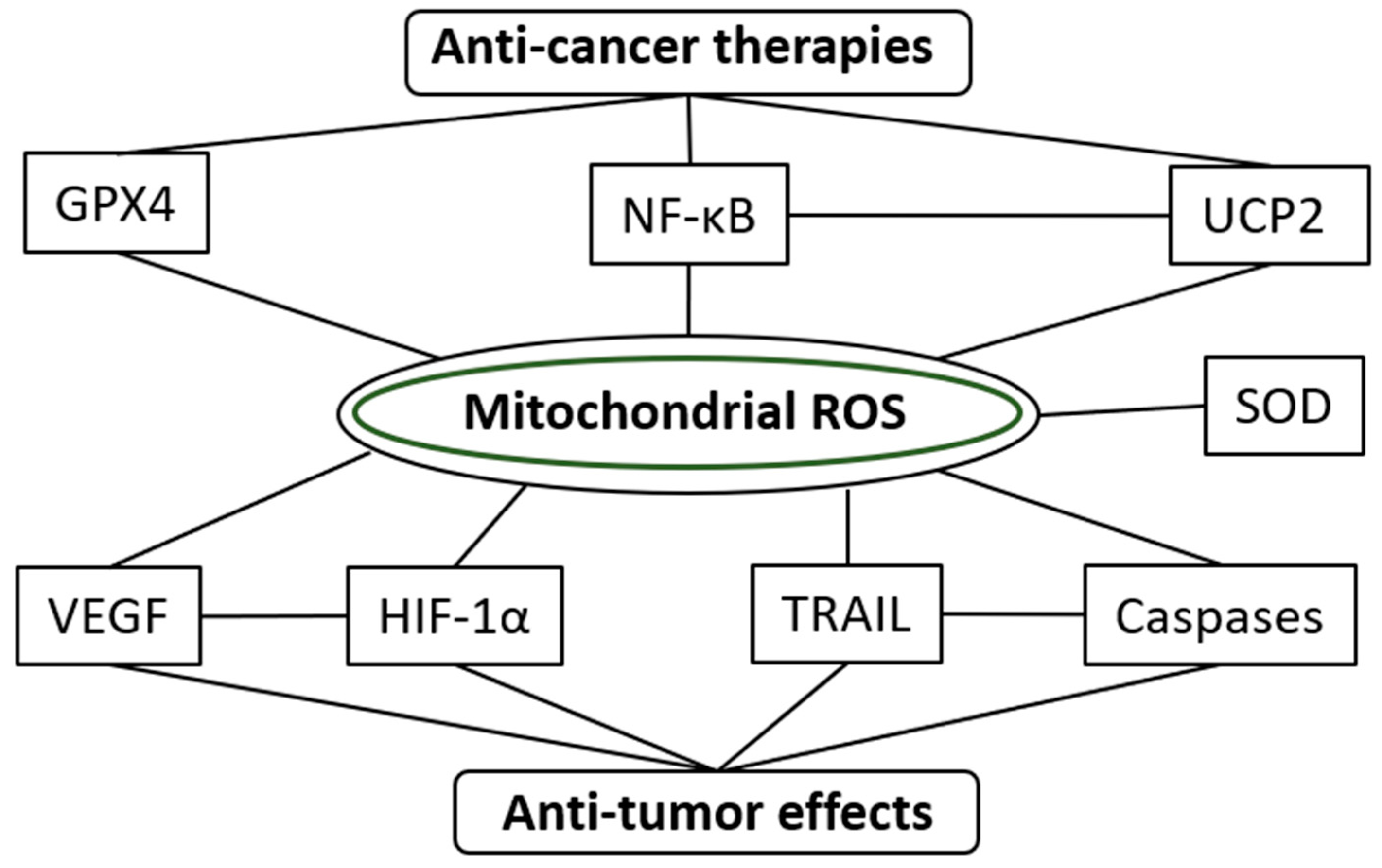 Molecules 25 05252 g002