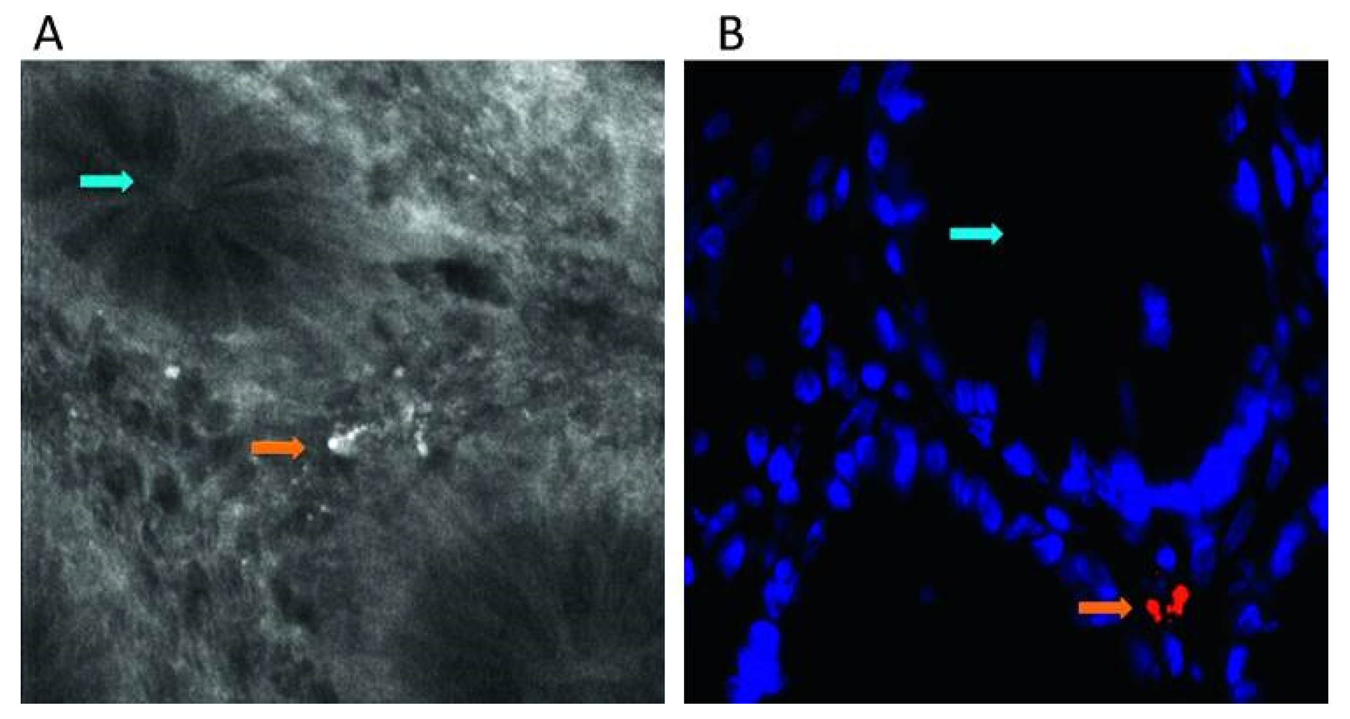 Molecules 25 05256 g003 Molecules 25 05256 g003