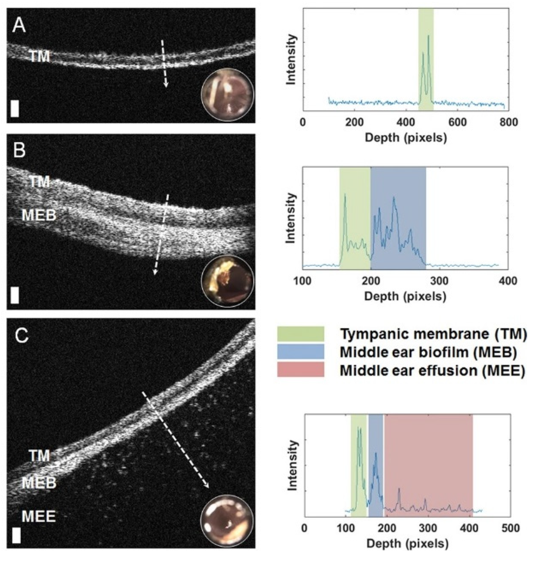 Molecules 25 05256 g005 Molecules 25 05256 g005