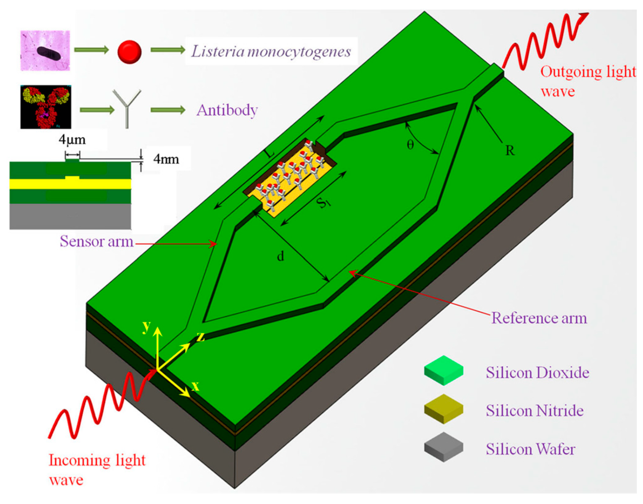 Molecules 25 05256 g007 Molecules 25 05256 g007