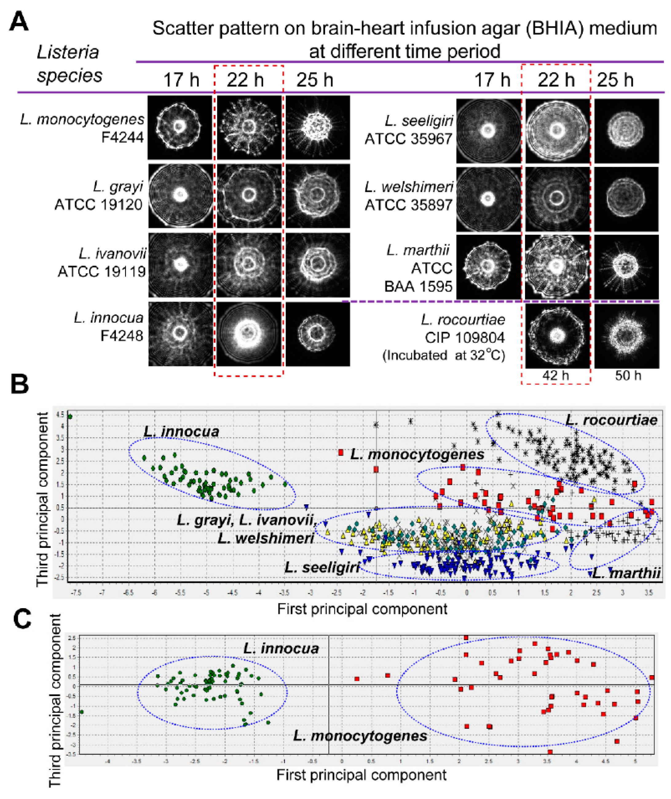 Molecules 25 05256 g009 Molecules 25 05256 g009