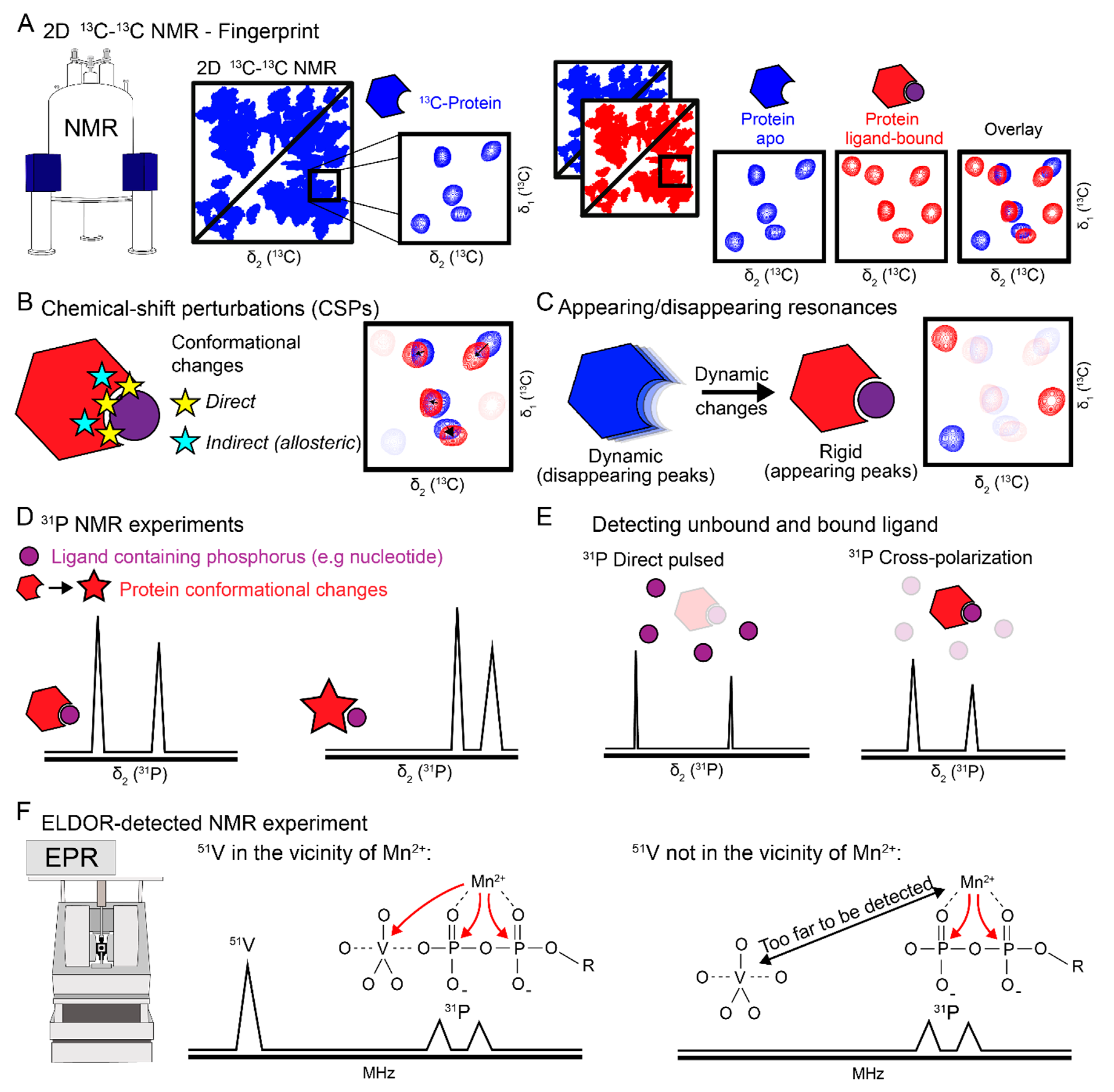 Molecules 25 05268 g001