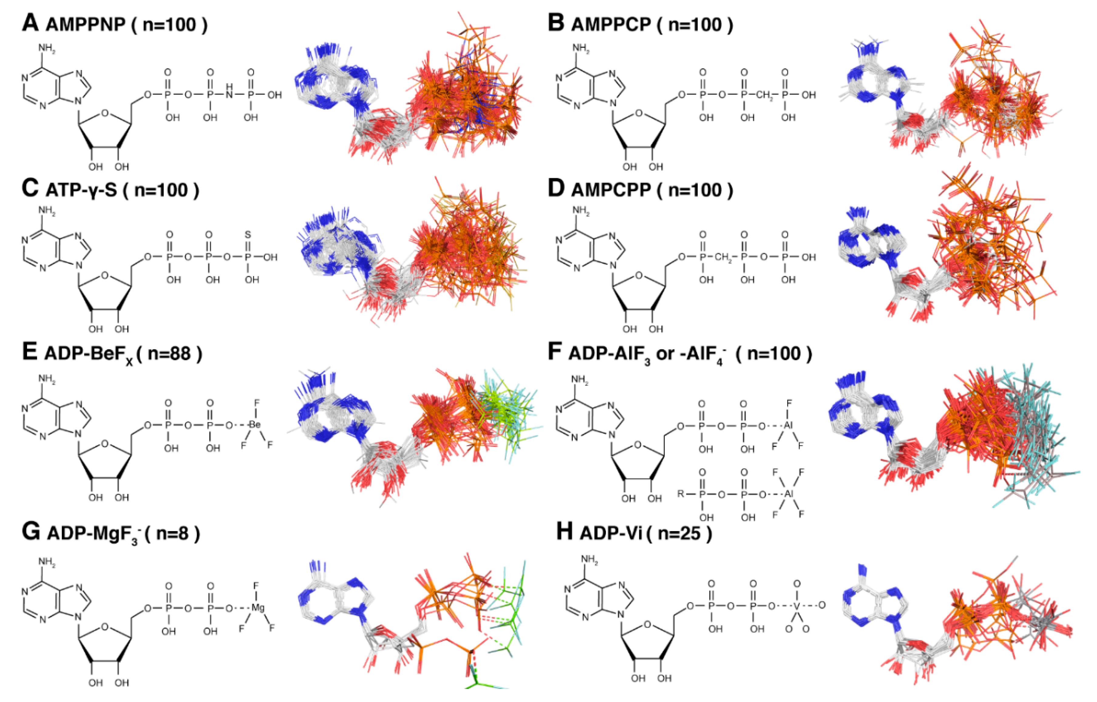 Molecules 25 05268 g003