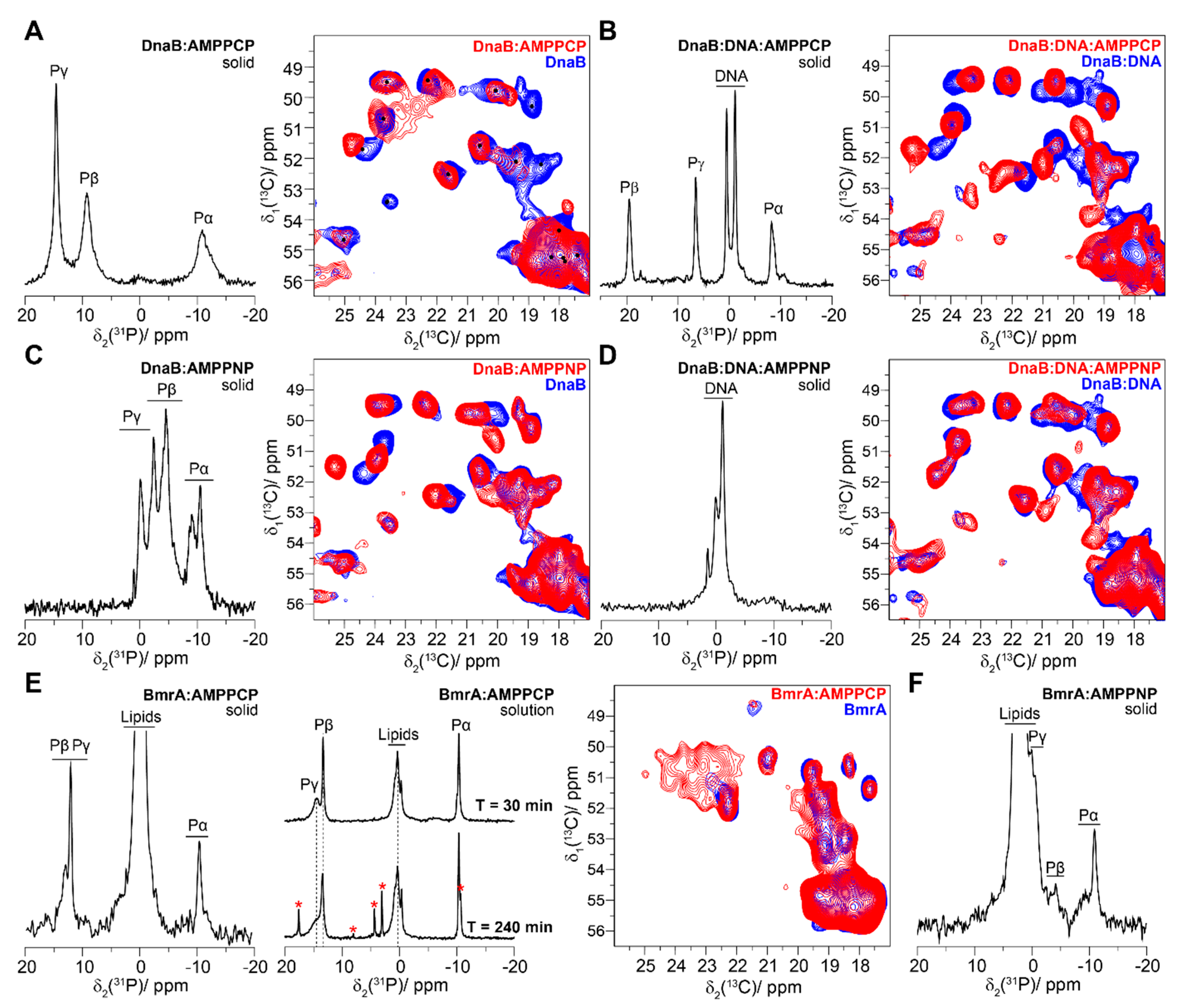 Molecules 25 05268 g004
