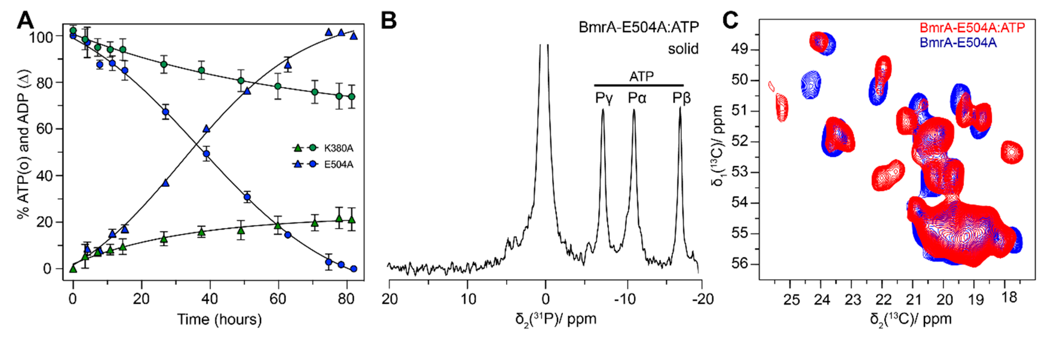 Molecules 25 05268 g005