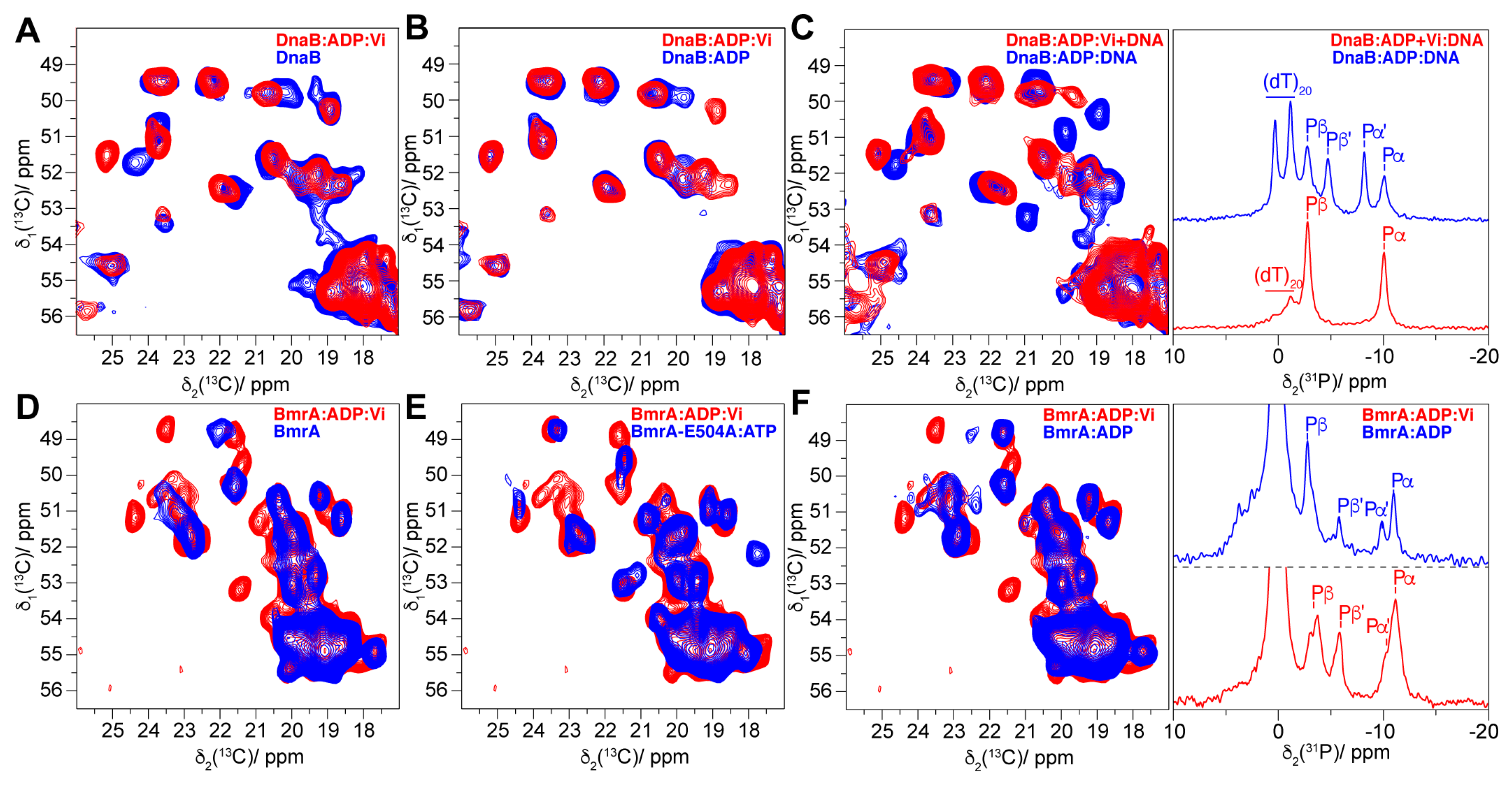 Molecules 25 05268 g006