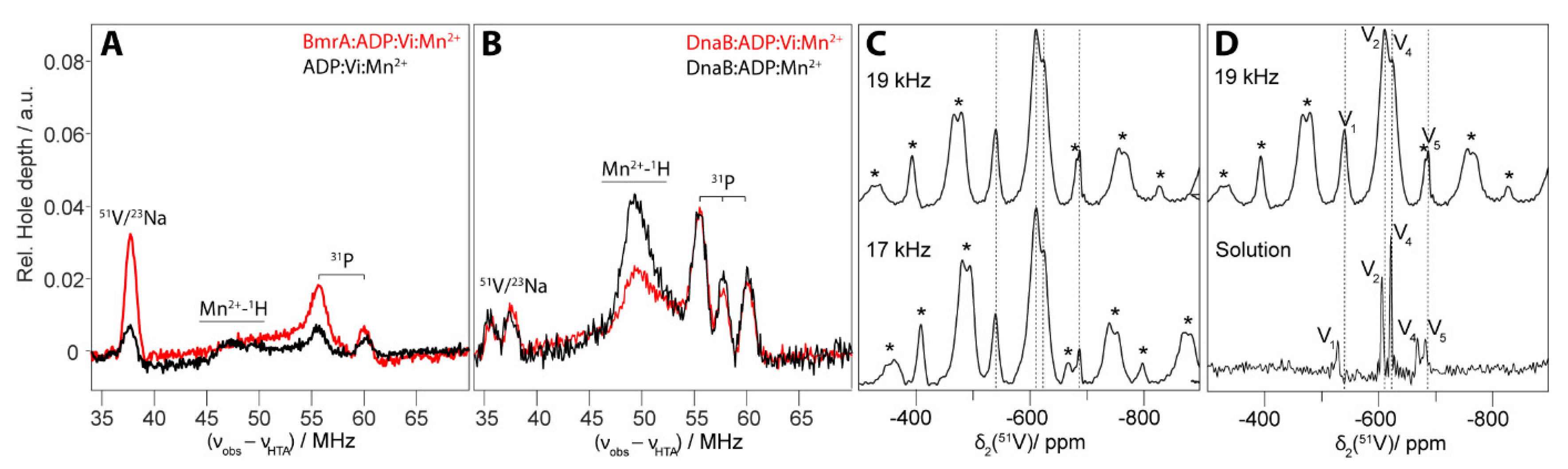 Molecules 25 05268 g007