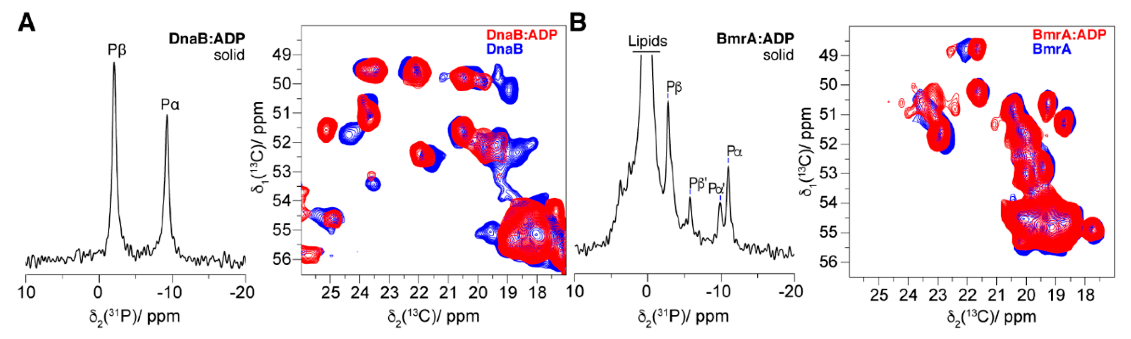 Molecules 25 05268 g010