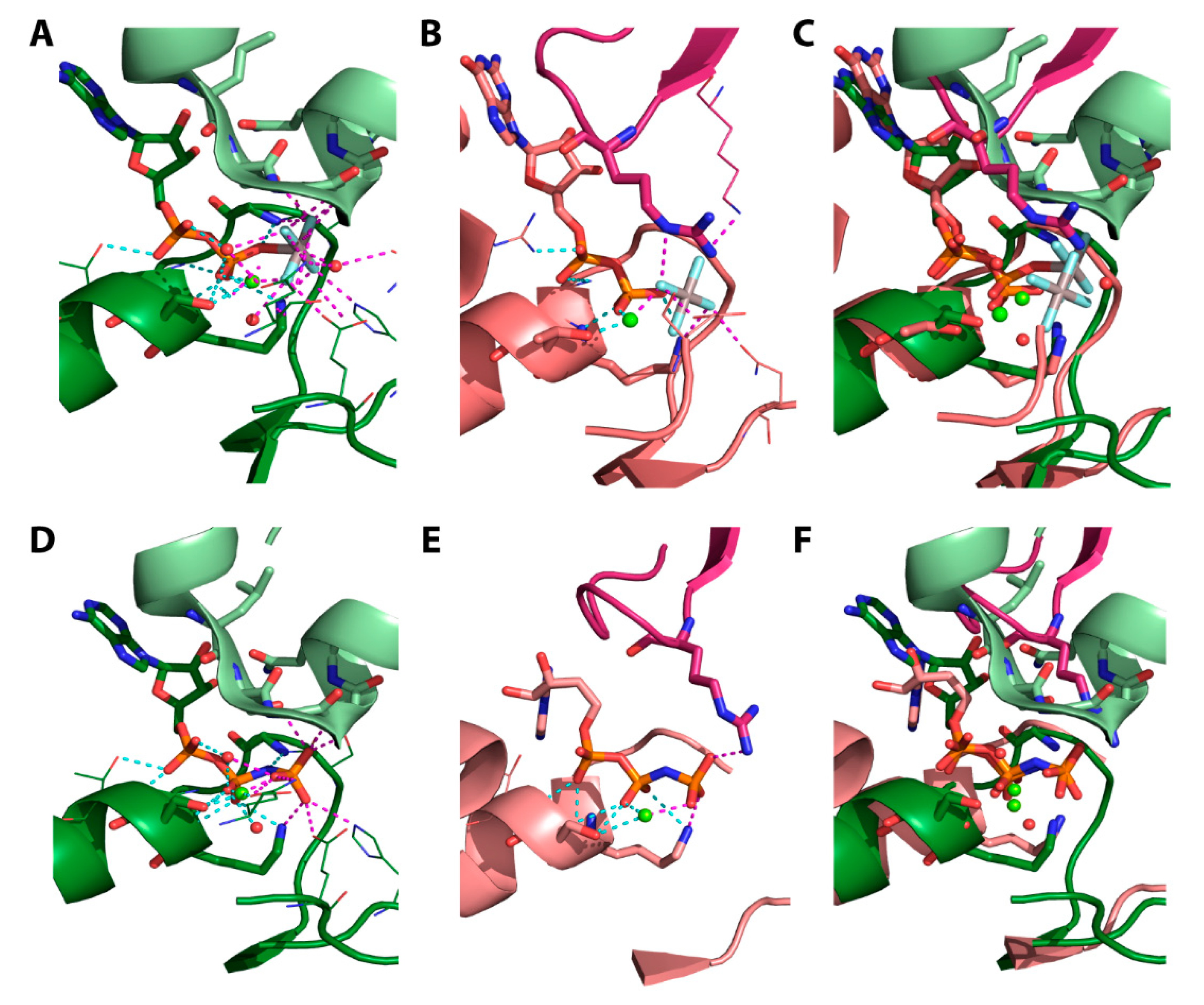 Molecules 25 05268 g011