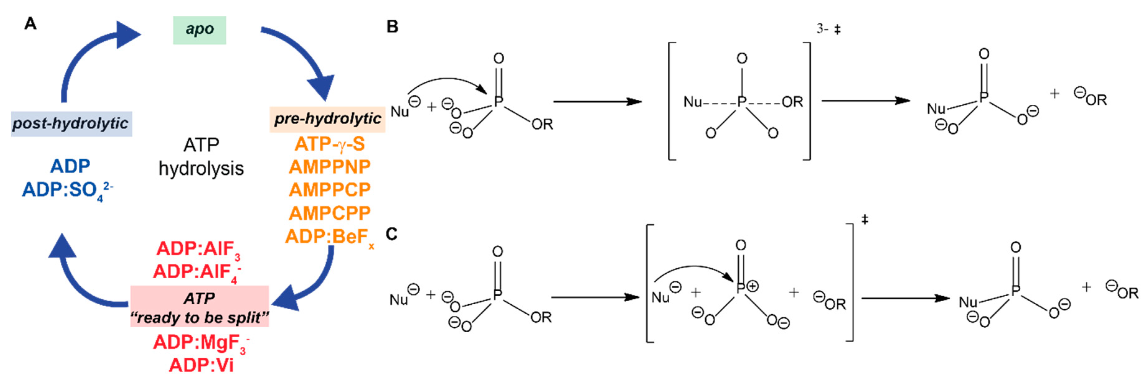 Molecules 25 05268 sch001