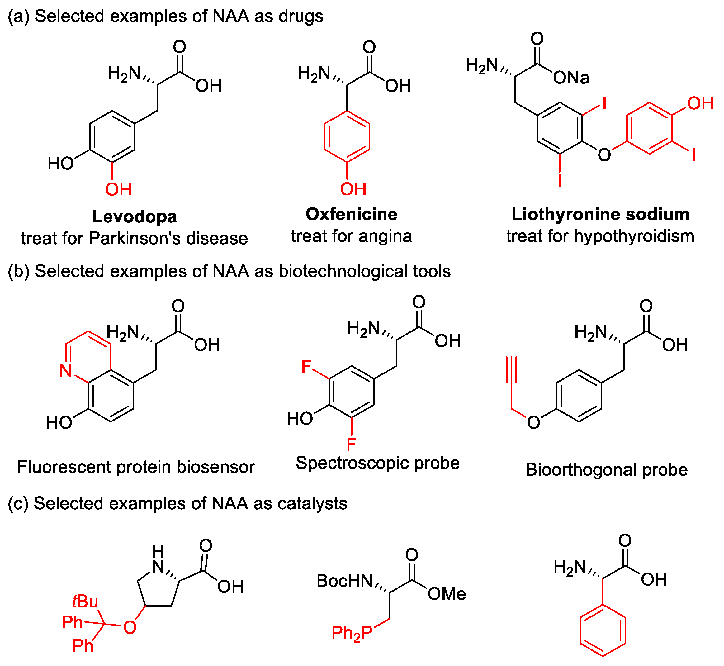 Molecules 25 05270 g001