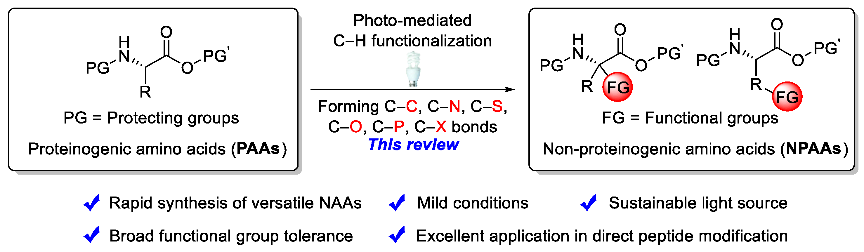 Molecules 25 05270 sch001