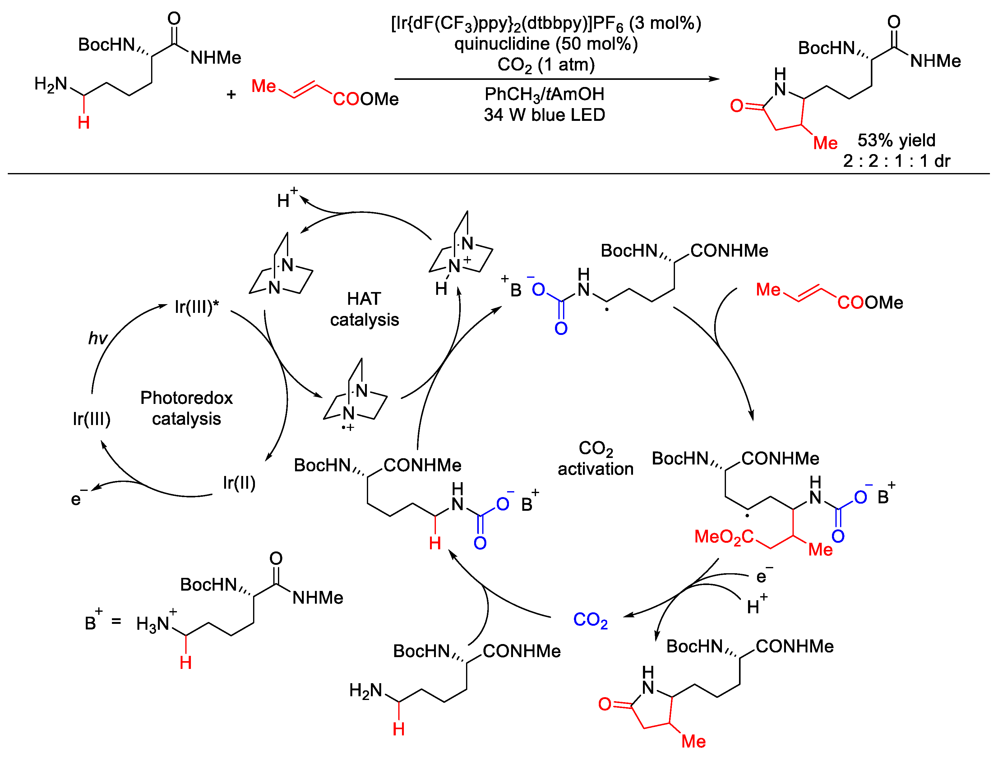 Molecules 25 05270 sch010