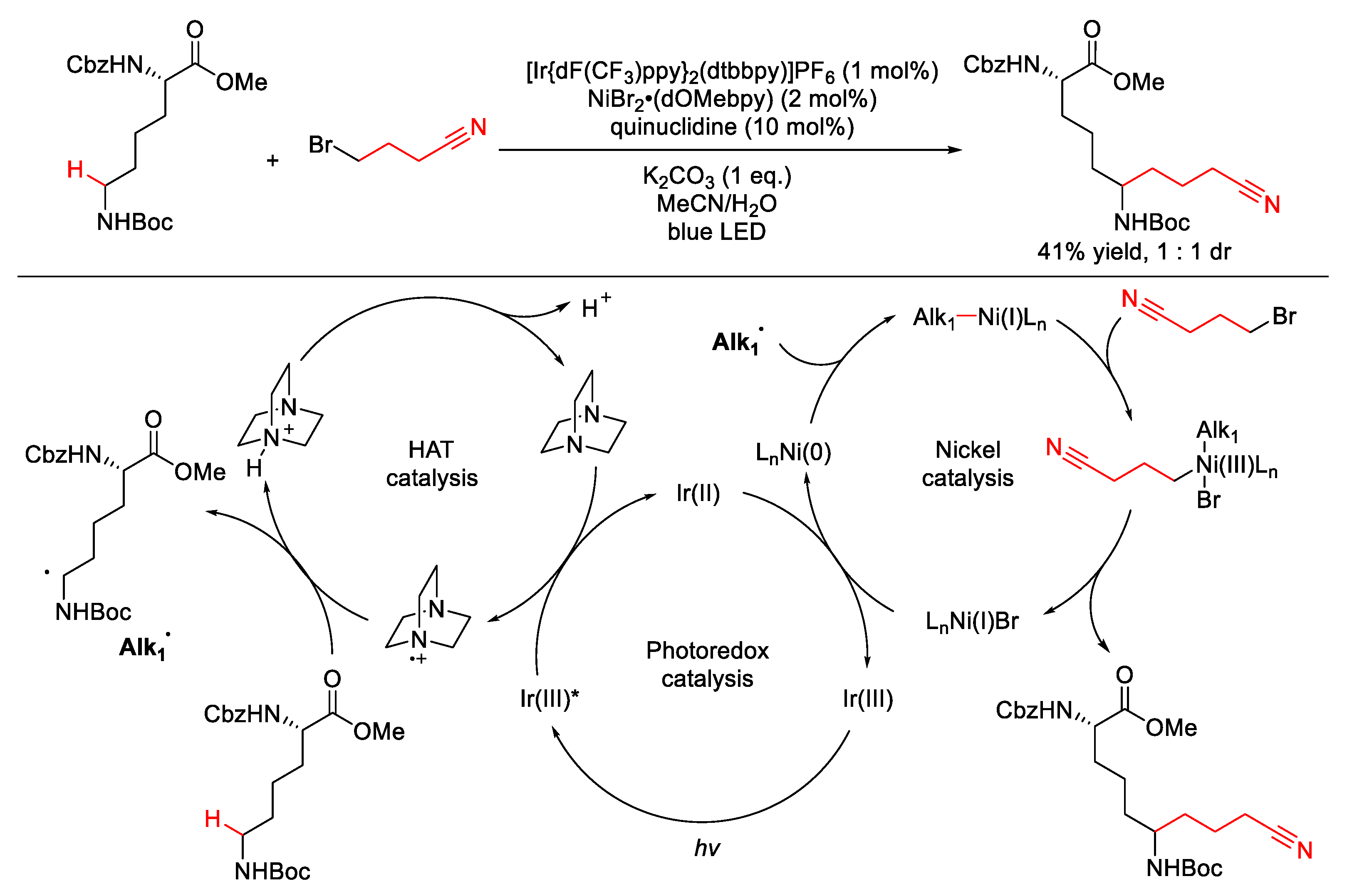 Molecules 25 05270 sch012