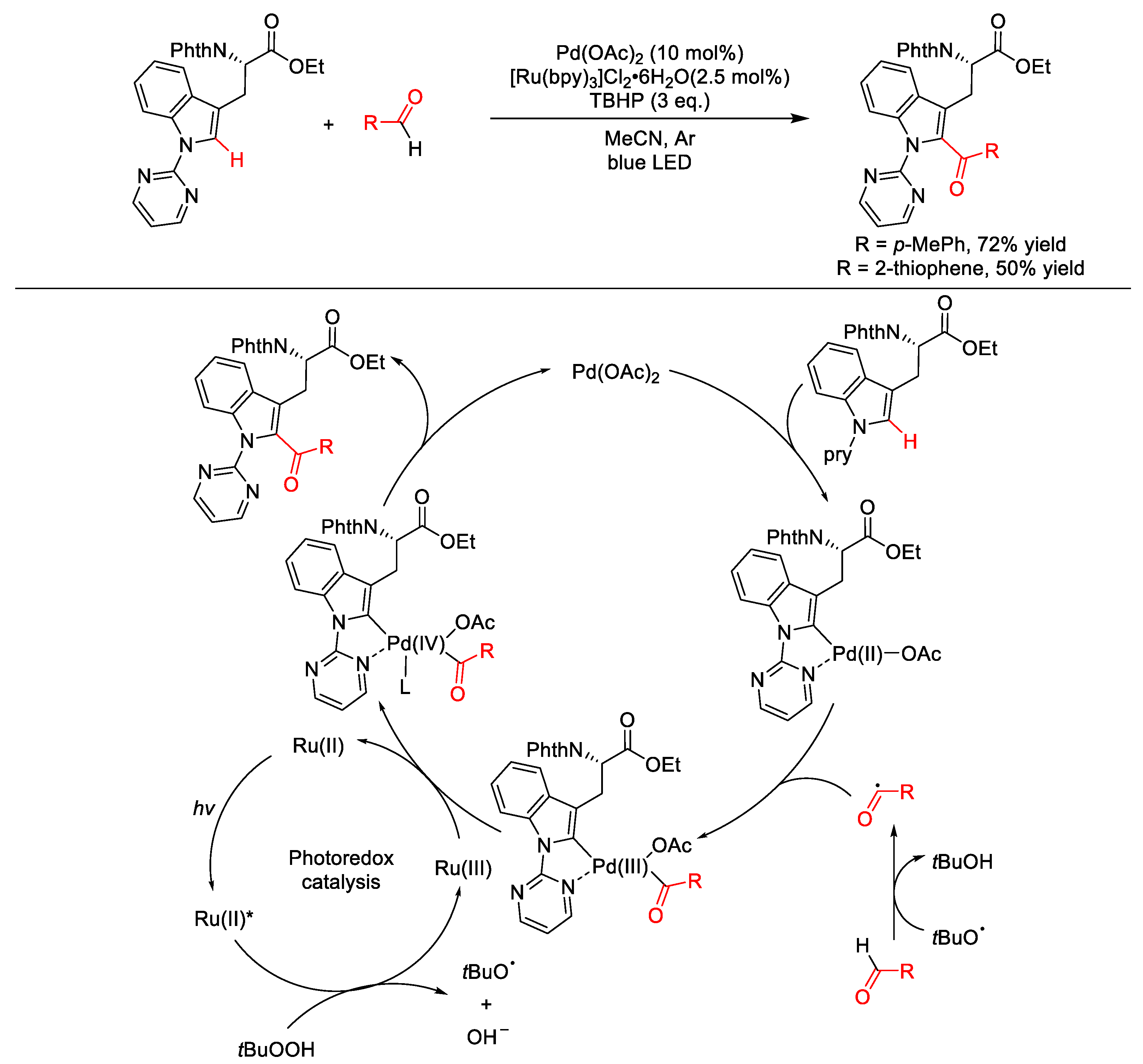 Molecules 25 05270 sch037