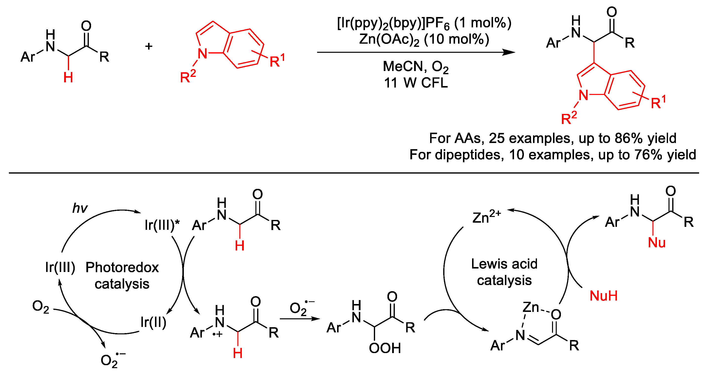 Molecules 25 05270 sch040