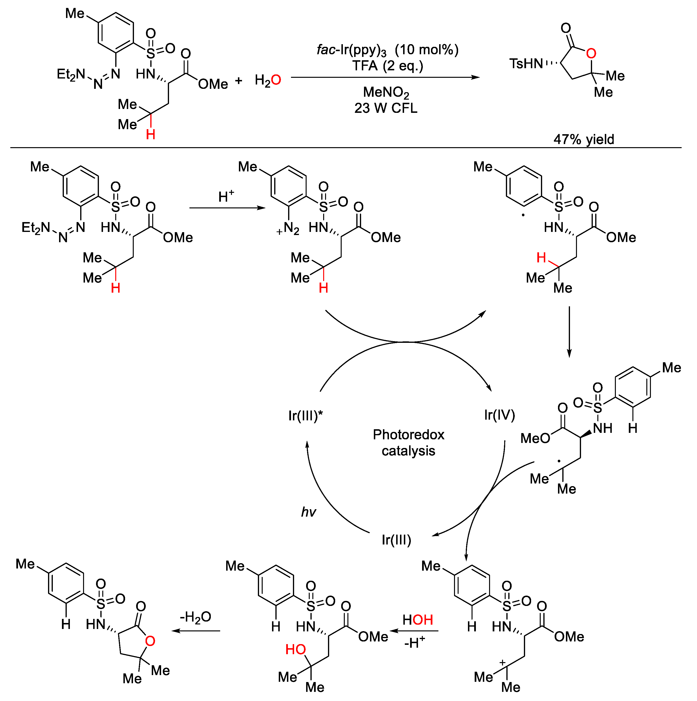 Molecules 25 05270 sch057