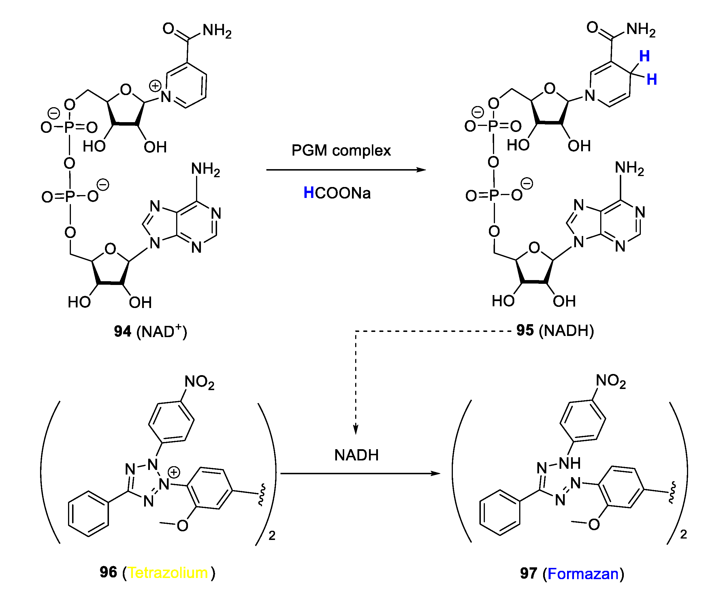 Molecules 25 05276 g025