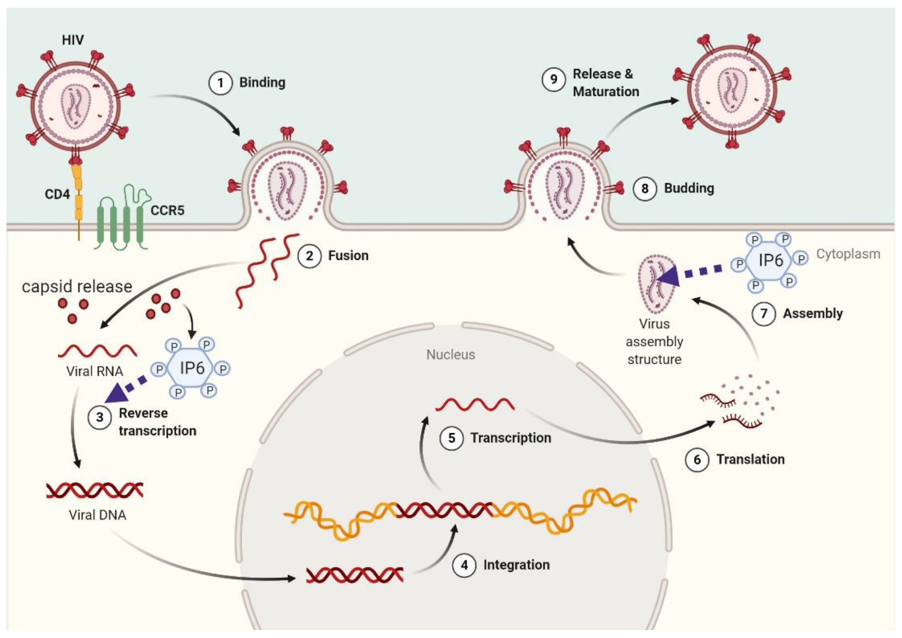 Molecules 25 05281 g003