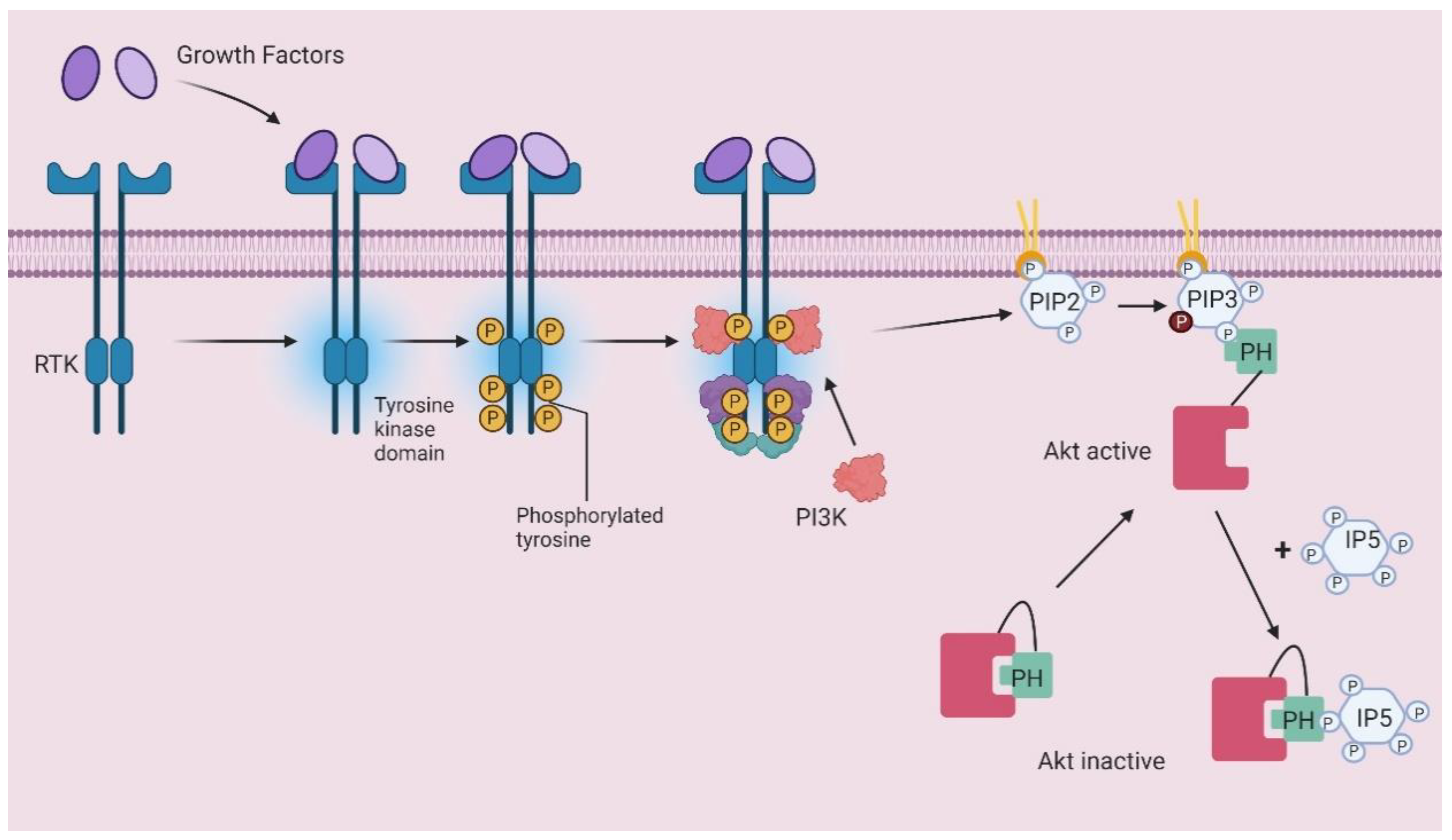 Molecules 25 05281 g004