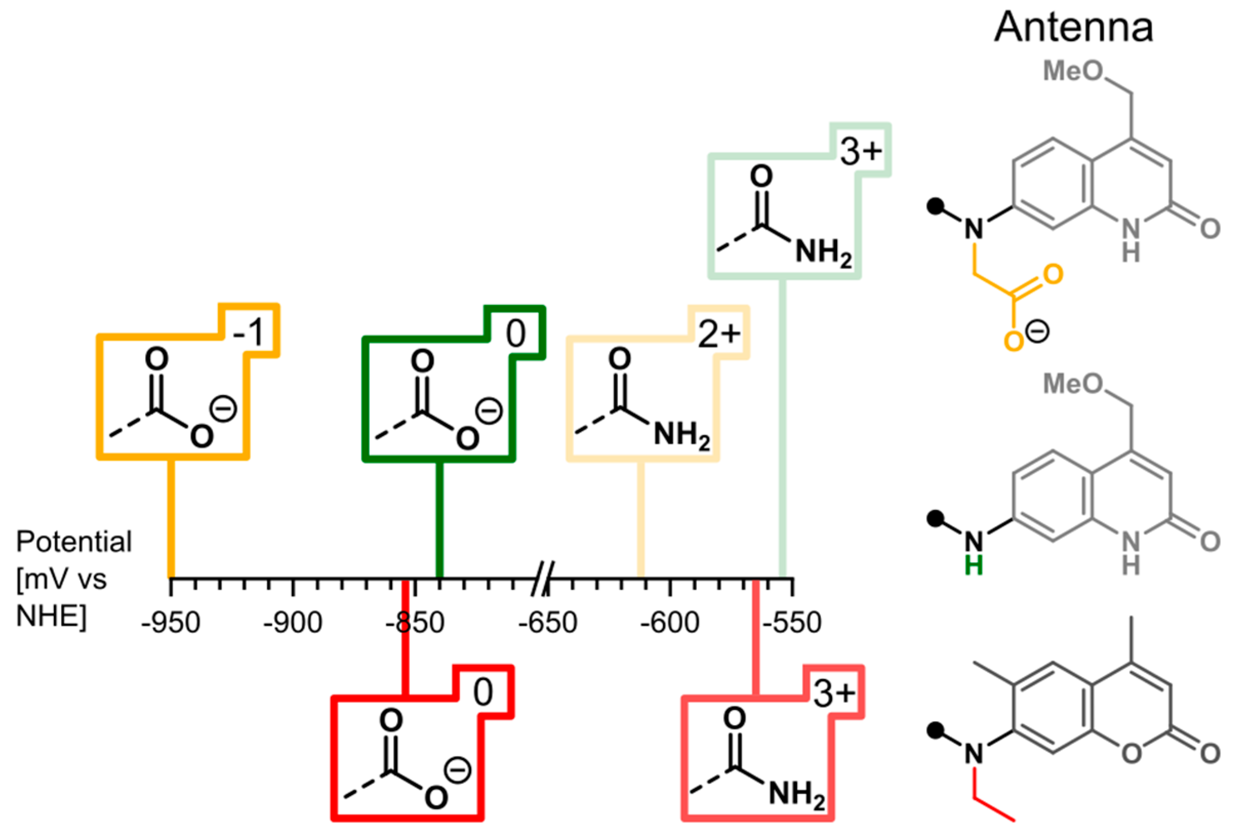 Molecules 25 05282 g004 Molecules 25 05282 g004
