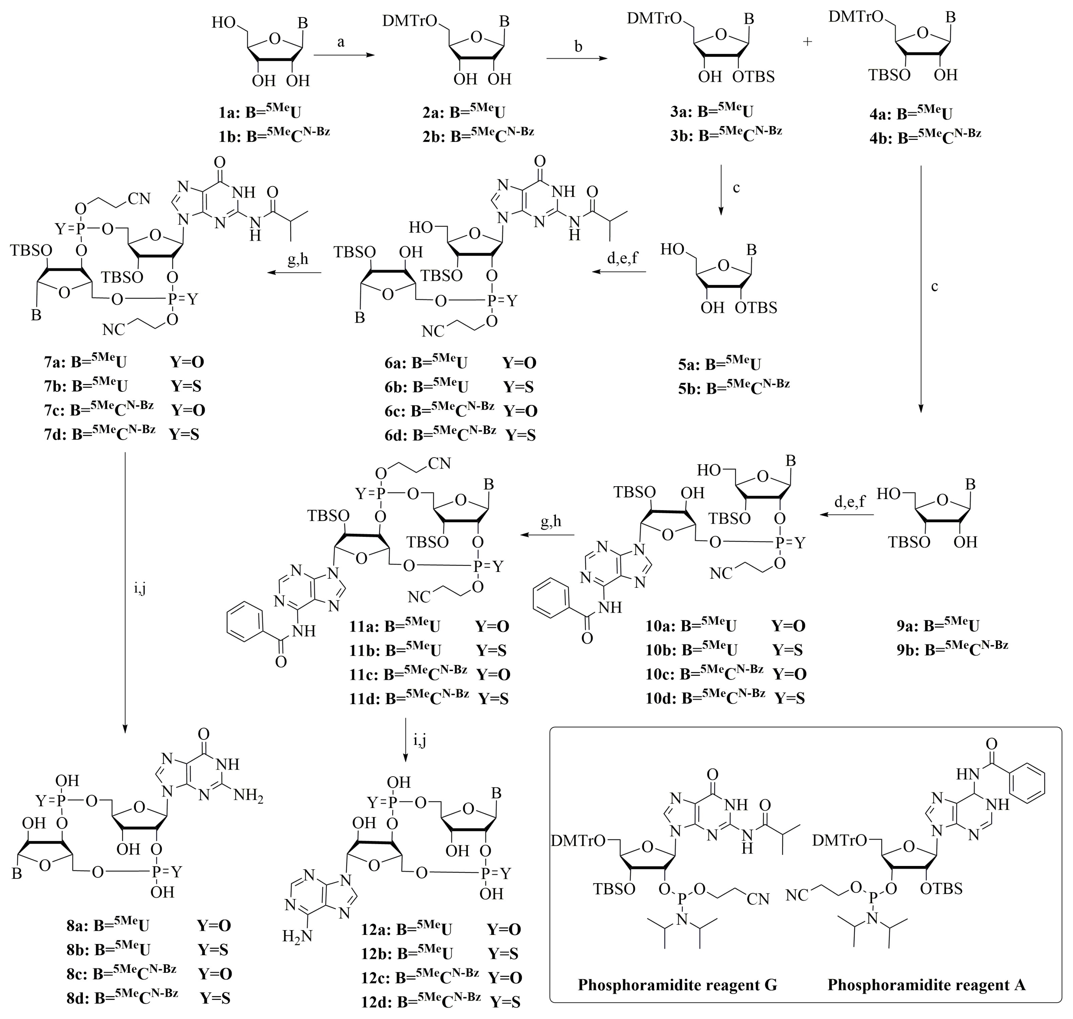 Molecules 25 05285 sch001